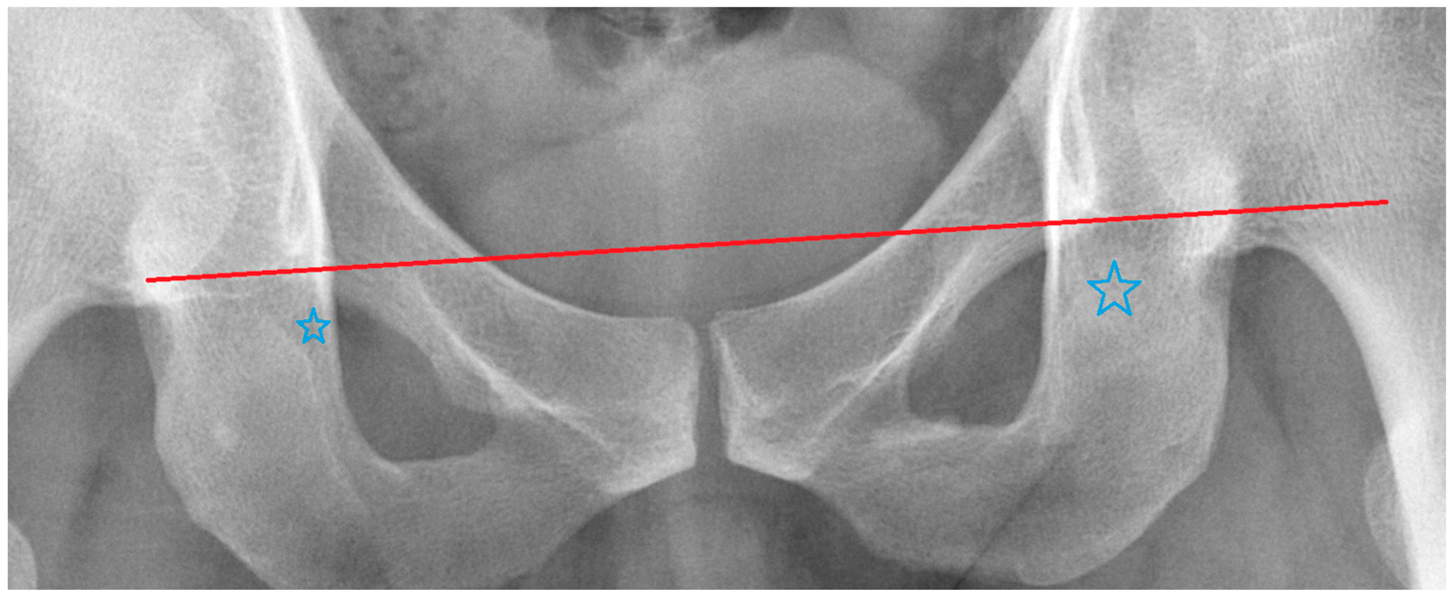 Biomedicines 11 01397 g003