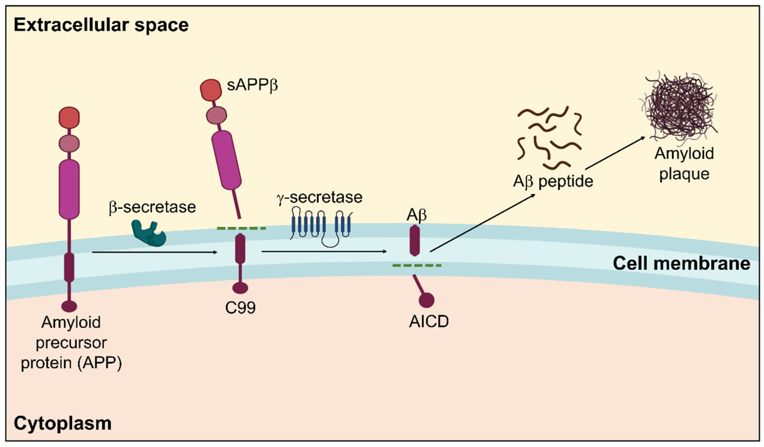 New insights into the genetic etiology of Alzheimer's disease and related  dementias