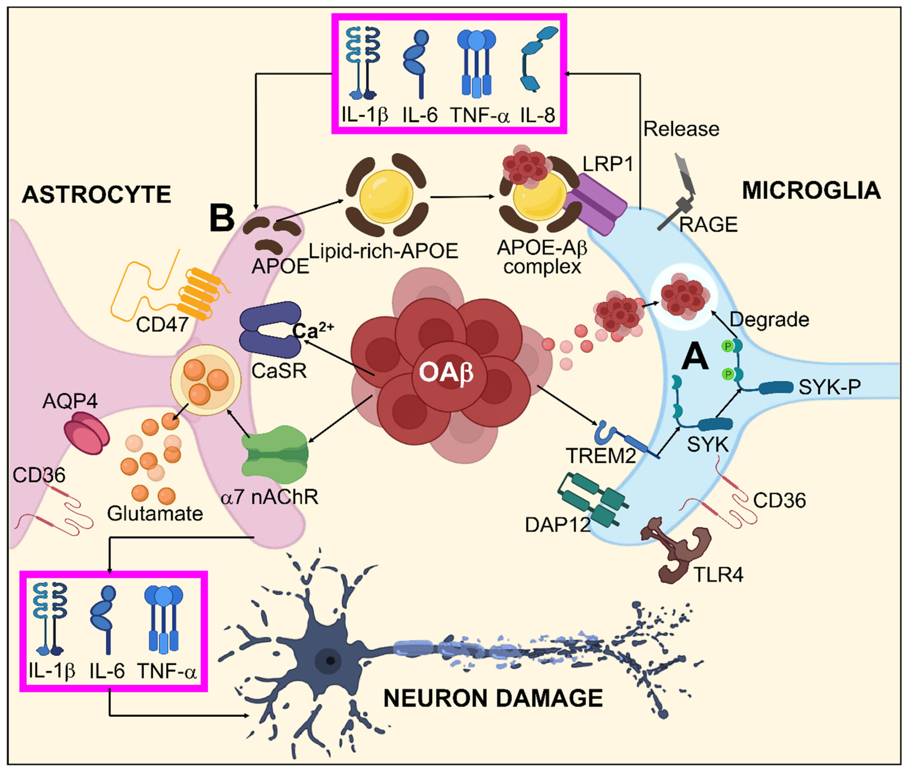 Biomedicines 11 01398 g003