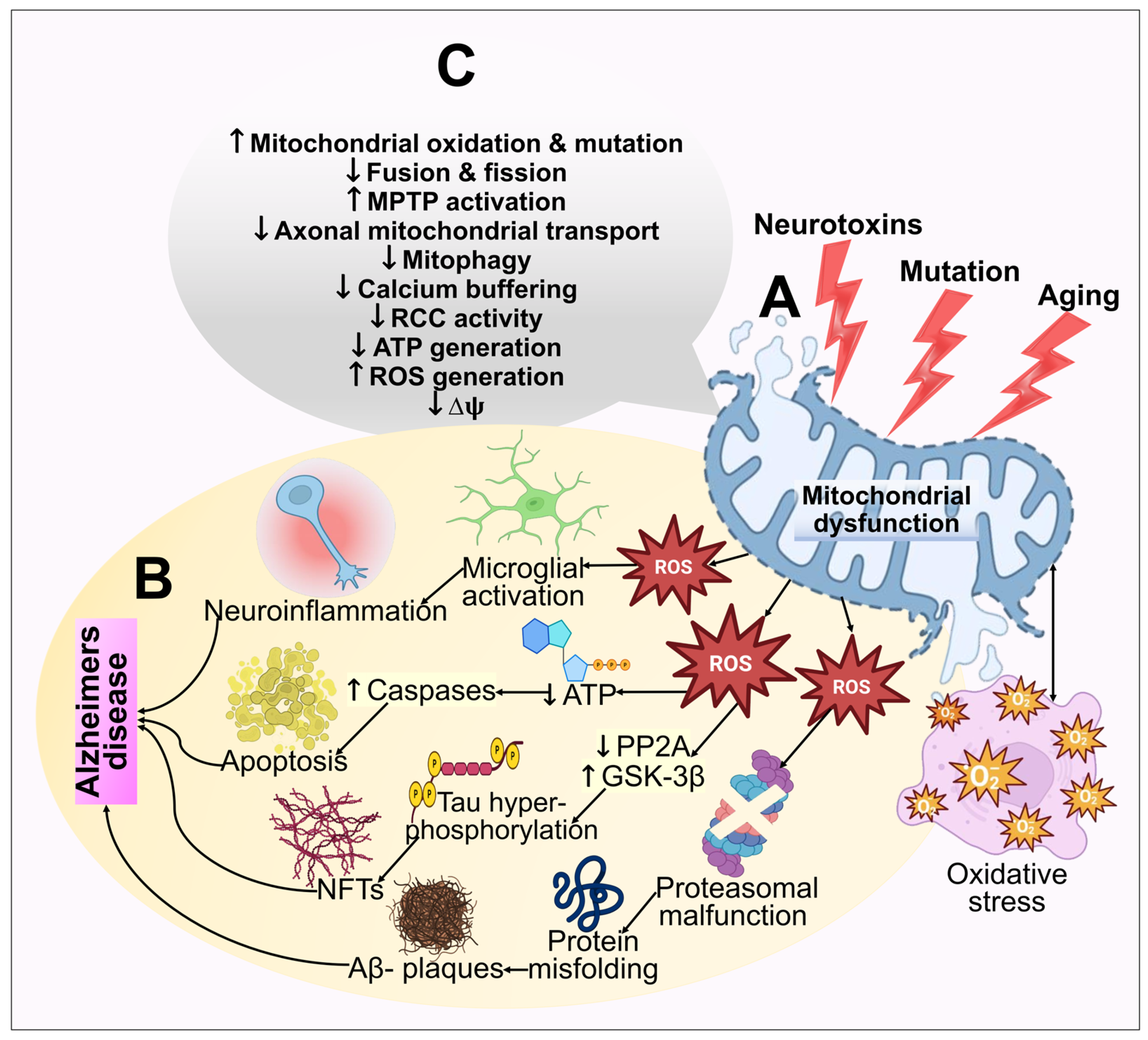 Biomedicines 11 01398 g004