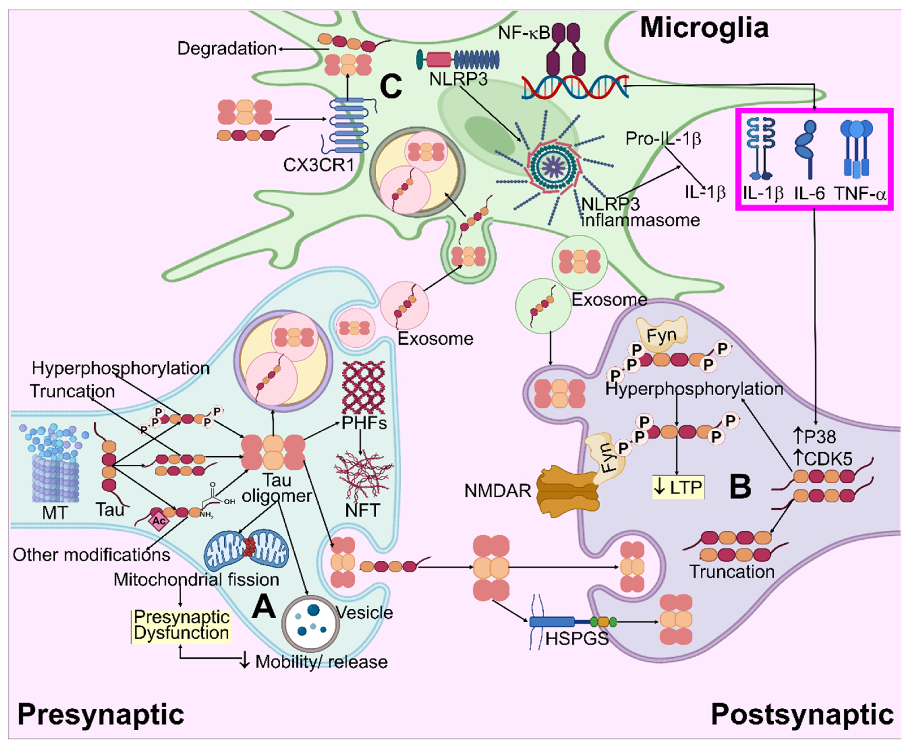 Biomedicines 11 01398 g005