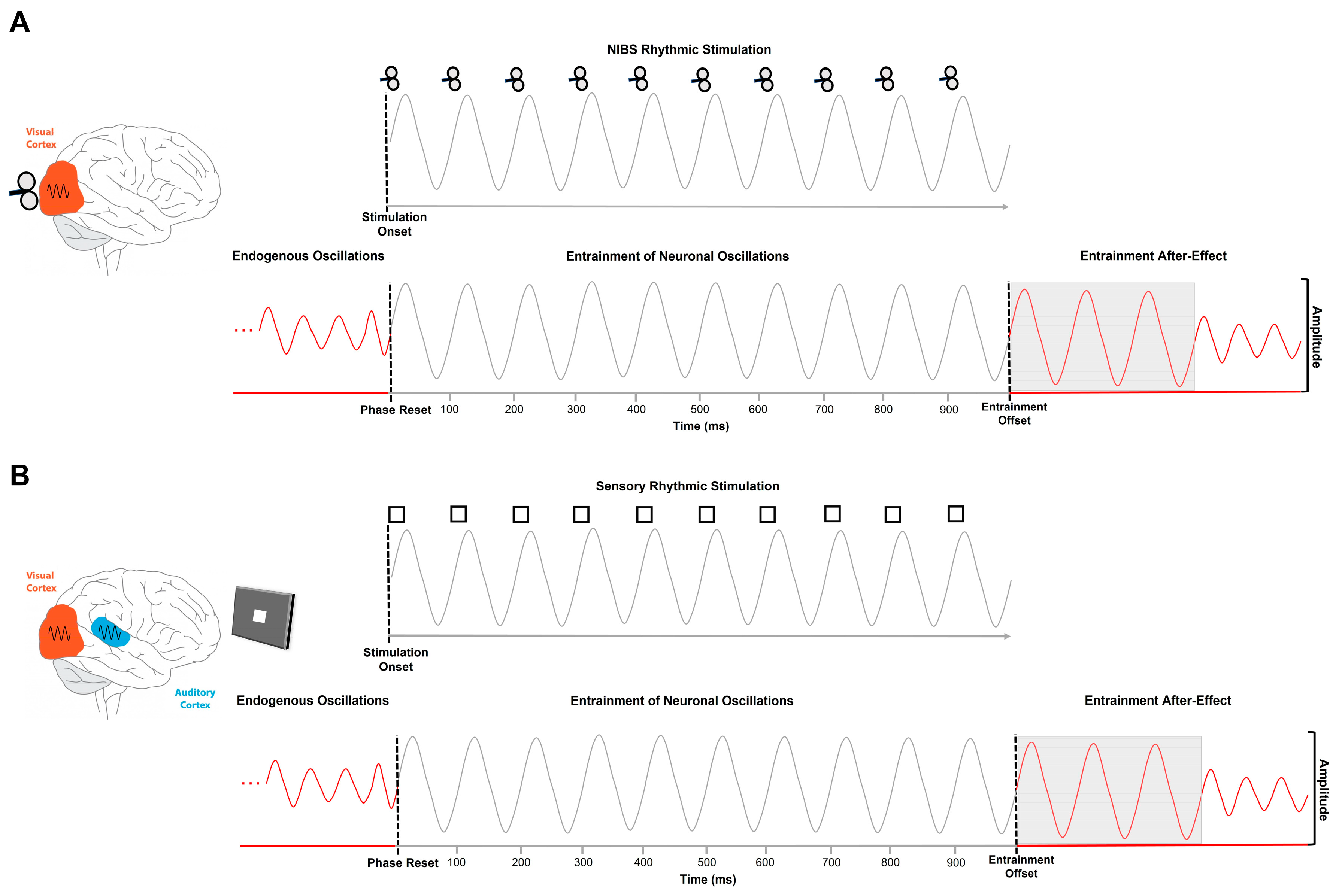 Biomedicines 11 01399 g001 Biomedicines 11 01399 g001