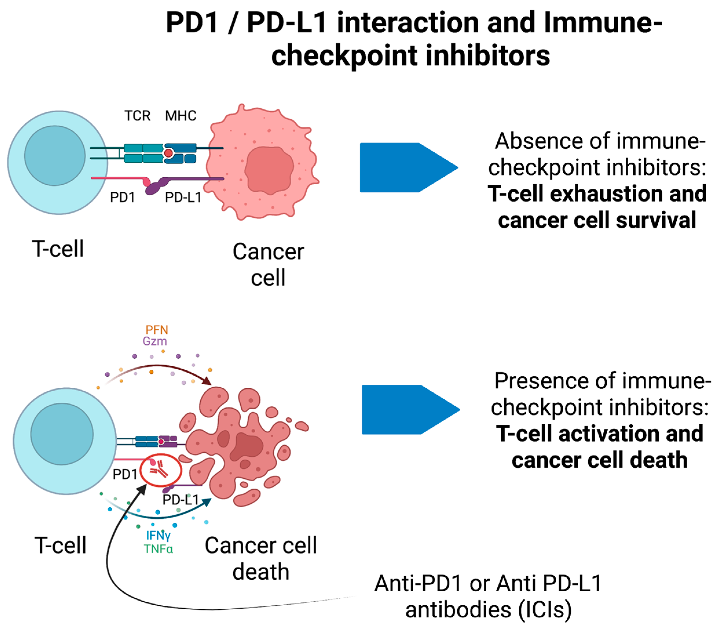 Biomedicines 11 01406 g002 Biomedicines 11 01406 g002