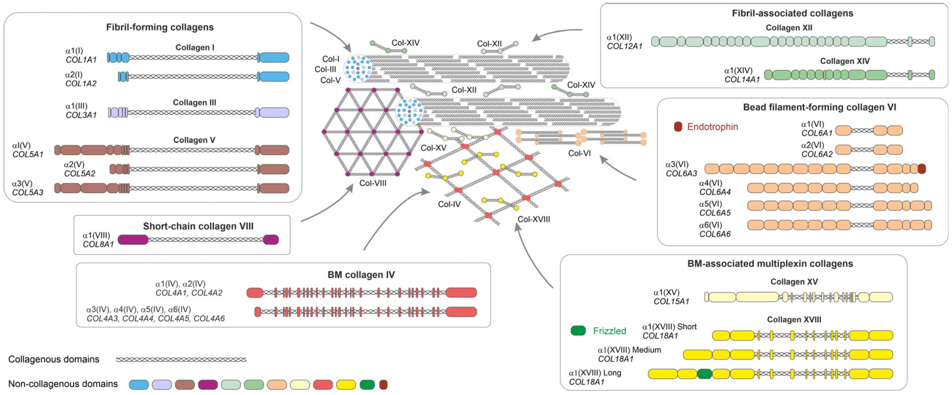 Biomedicines 11 01412 g001