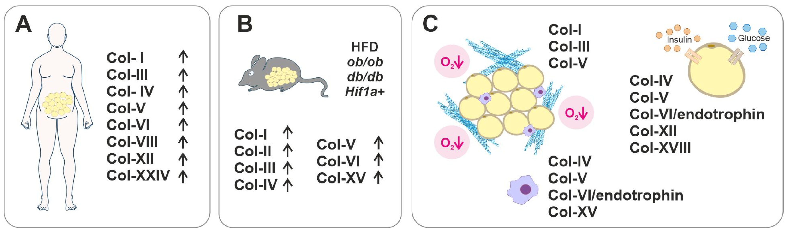 Biomedicines 11 01412 g003