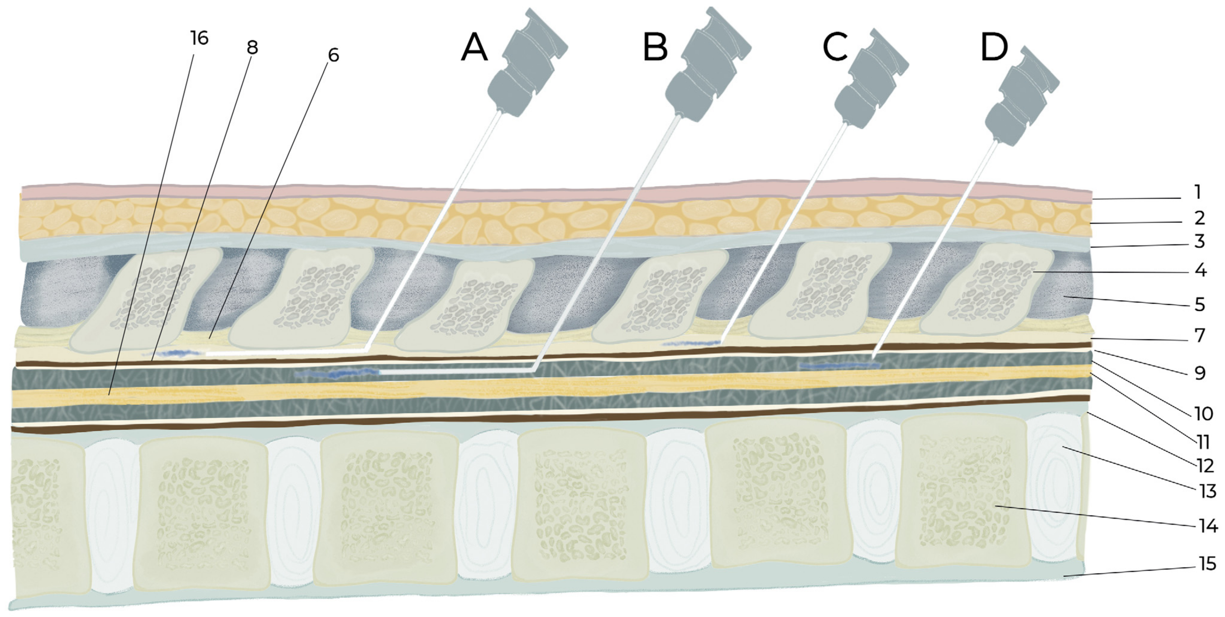 Biomedicines 11 01413 g003