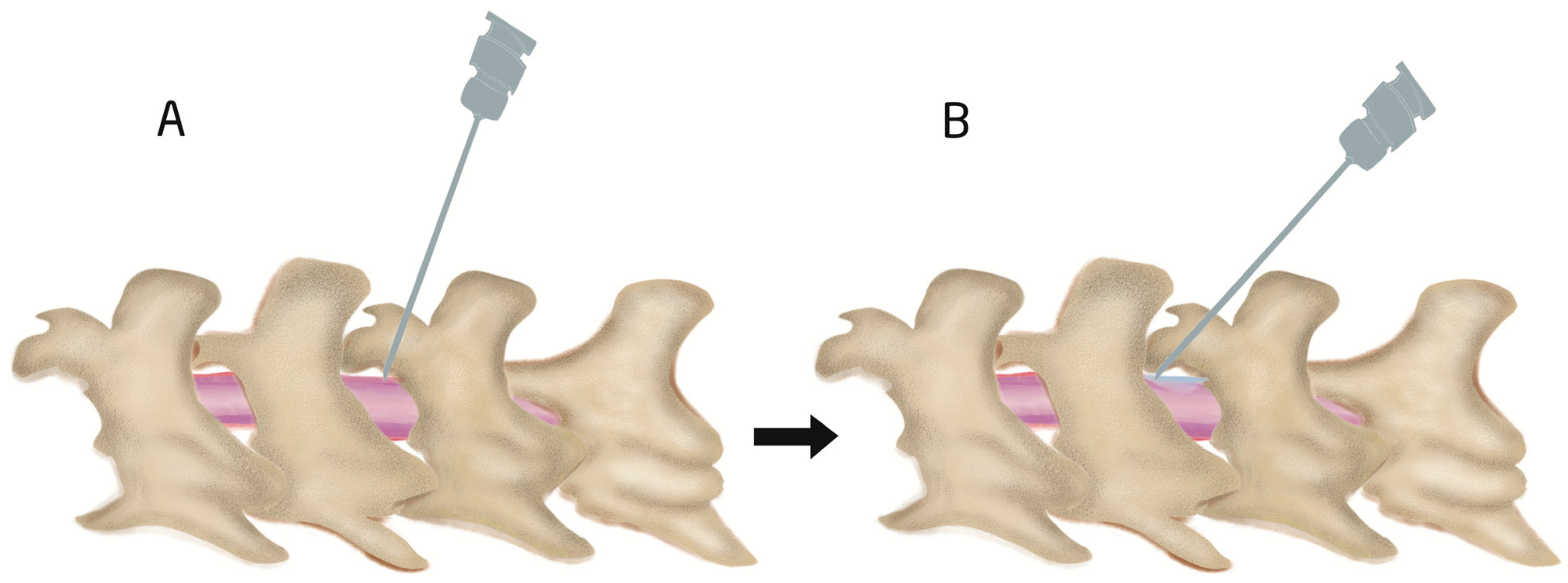 Biomedicines 11 01413 g004