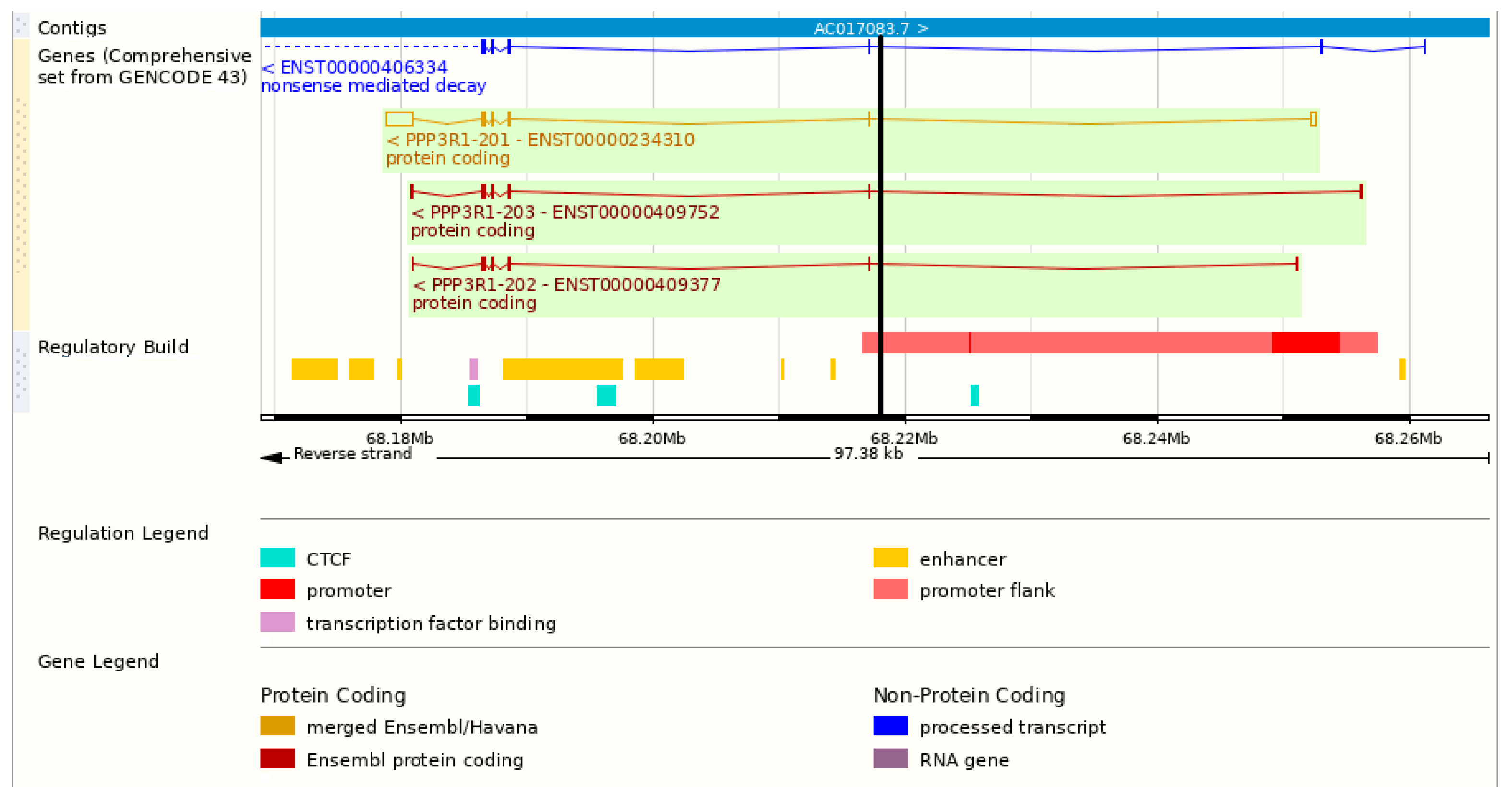 Biomedicines 11 01415 g001 Biomedicines 11 01415 g001