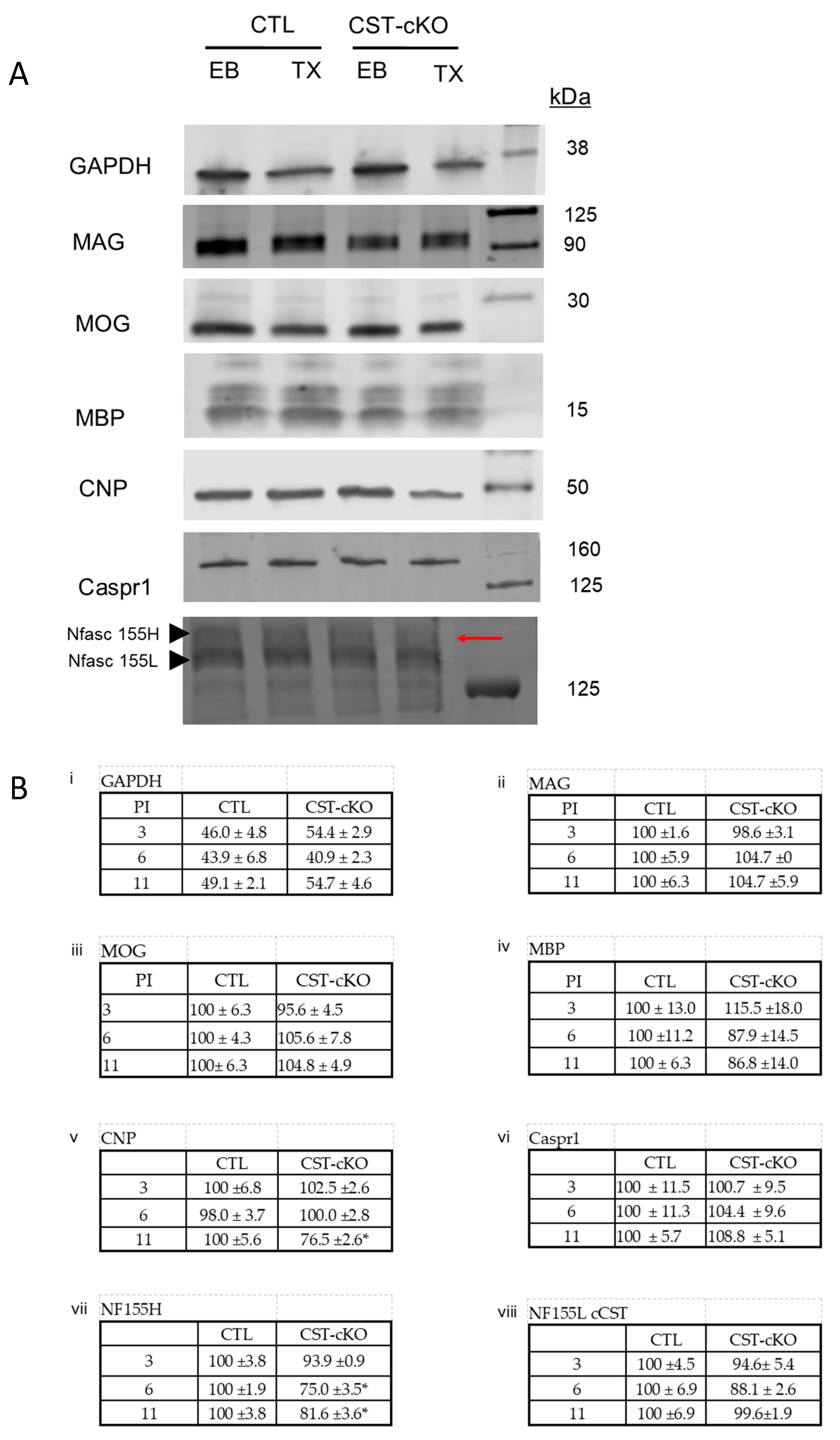 Biomedicines 11 01431 g008