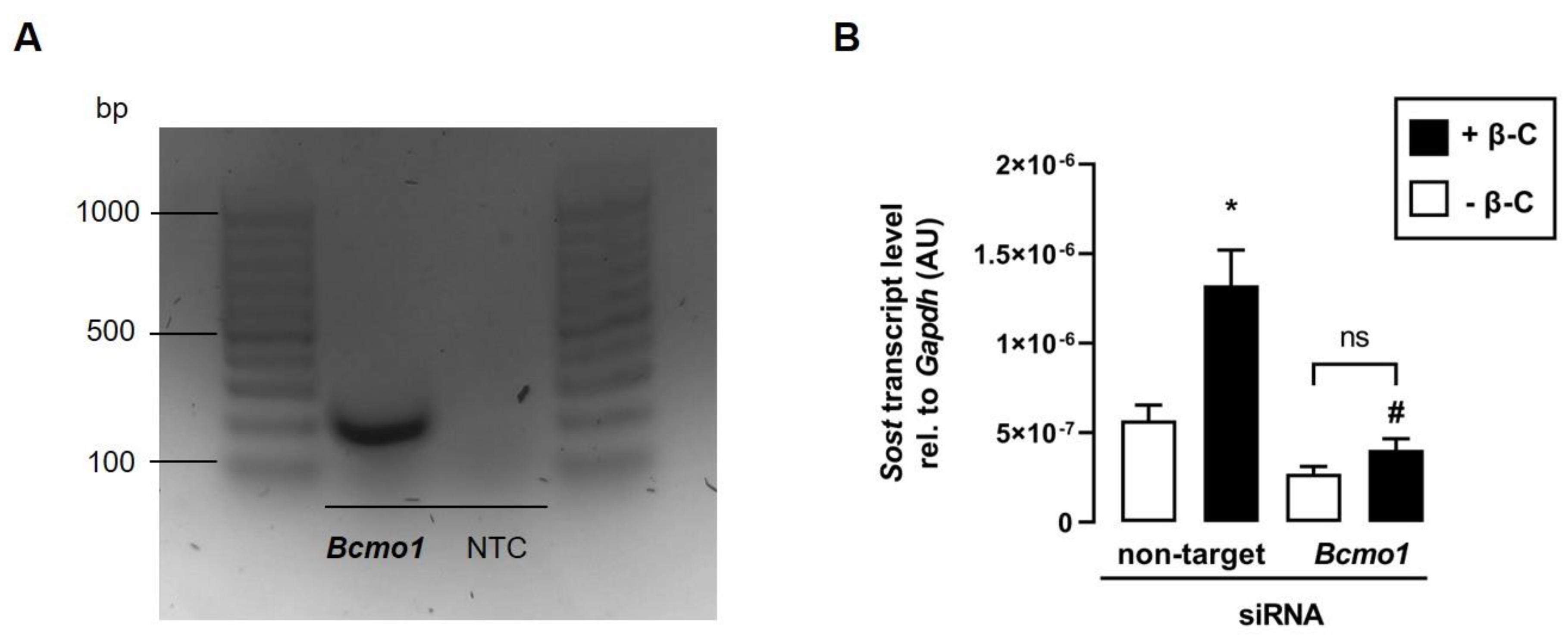 Biomedicines 11 01432 g005