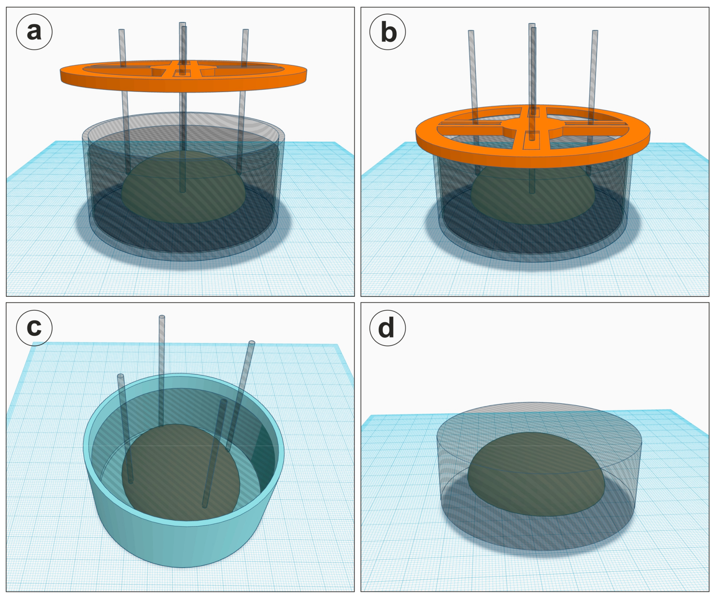Biomedicines 11 01433 g002