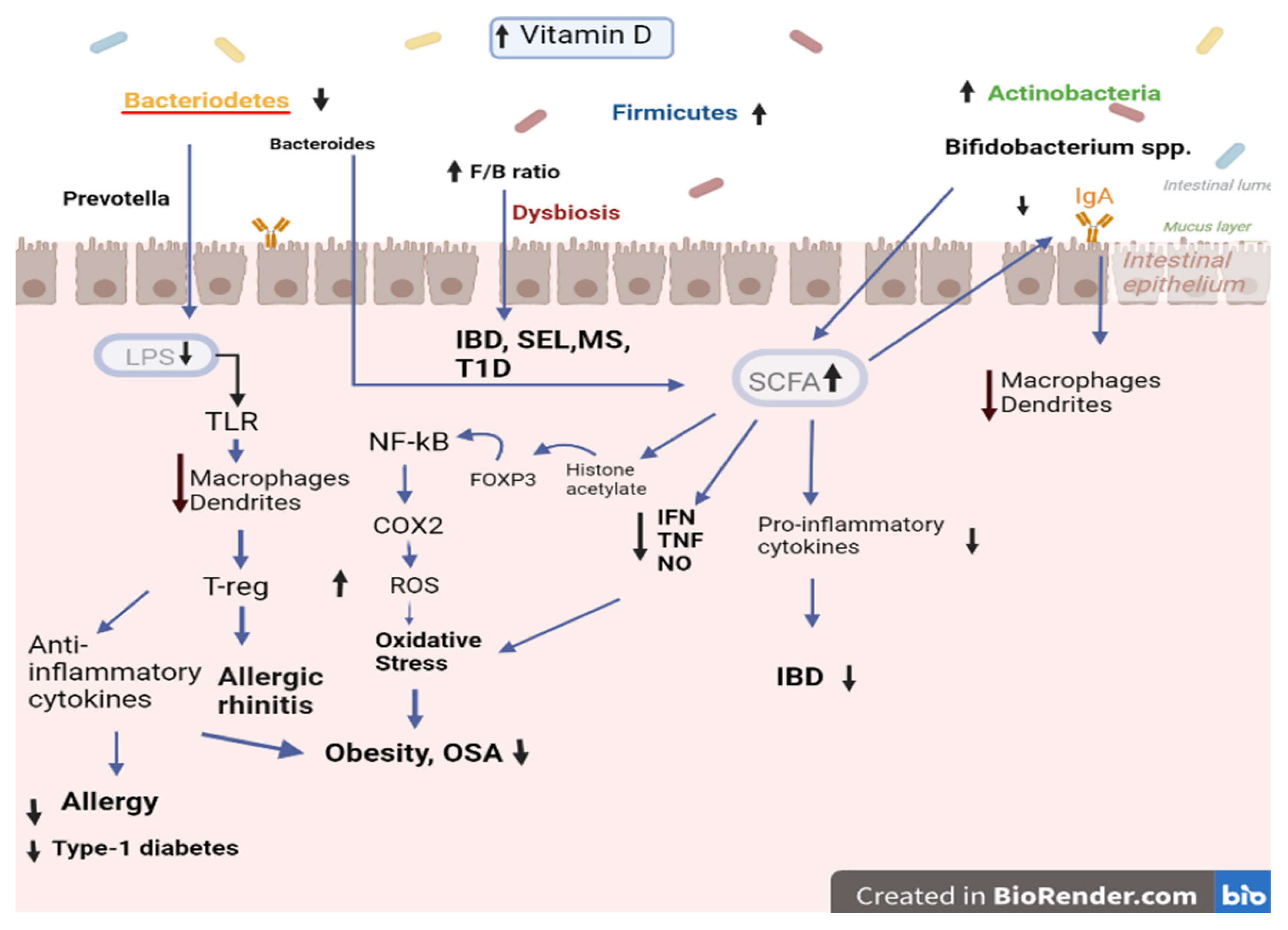 Biomedicines 11 01441 g002 Biomedicines 11 01441 g002