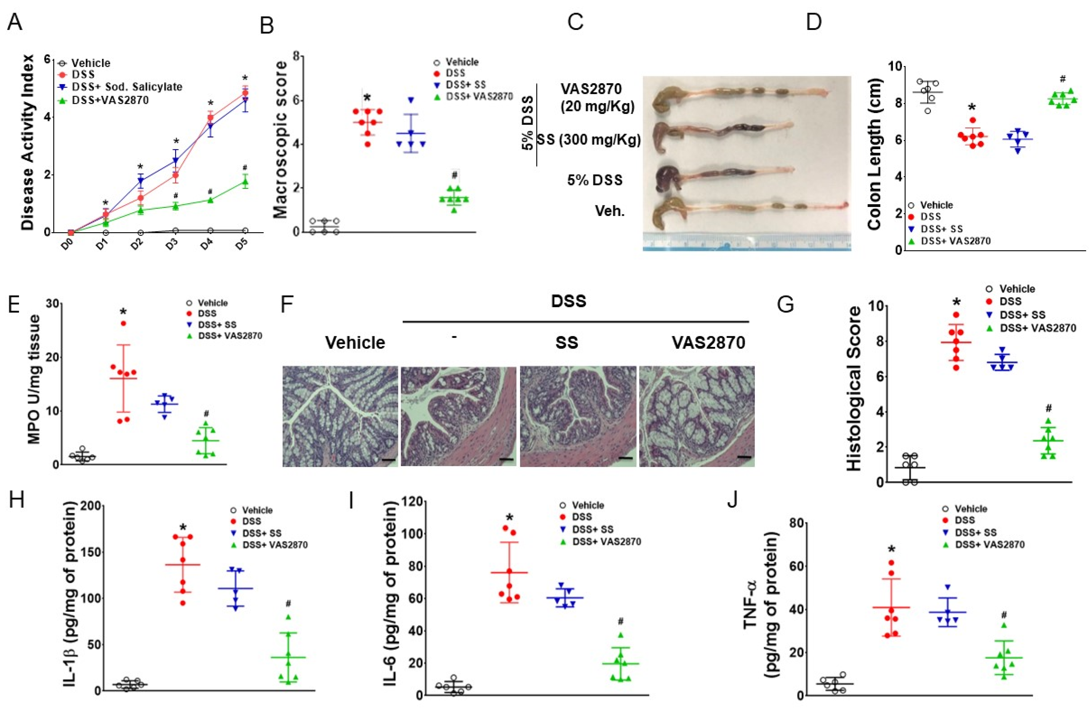 Biomedicines 11 01443 g001