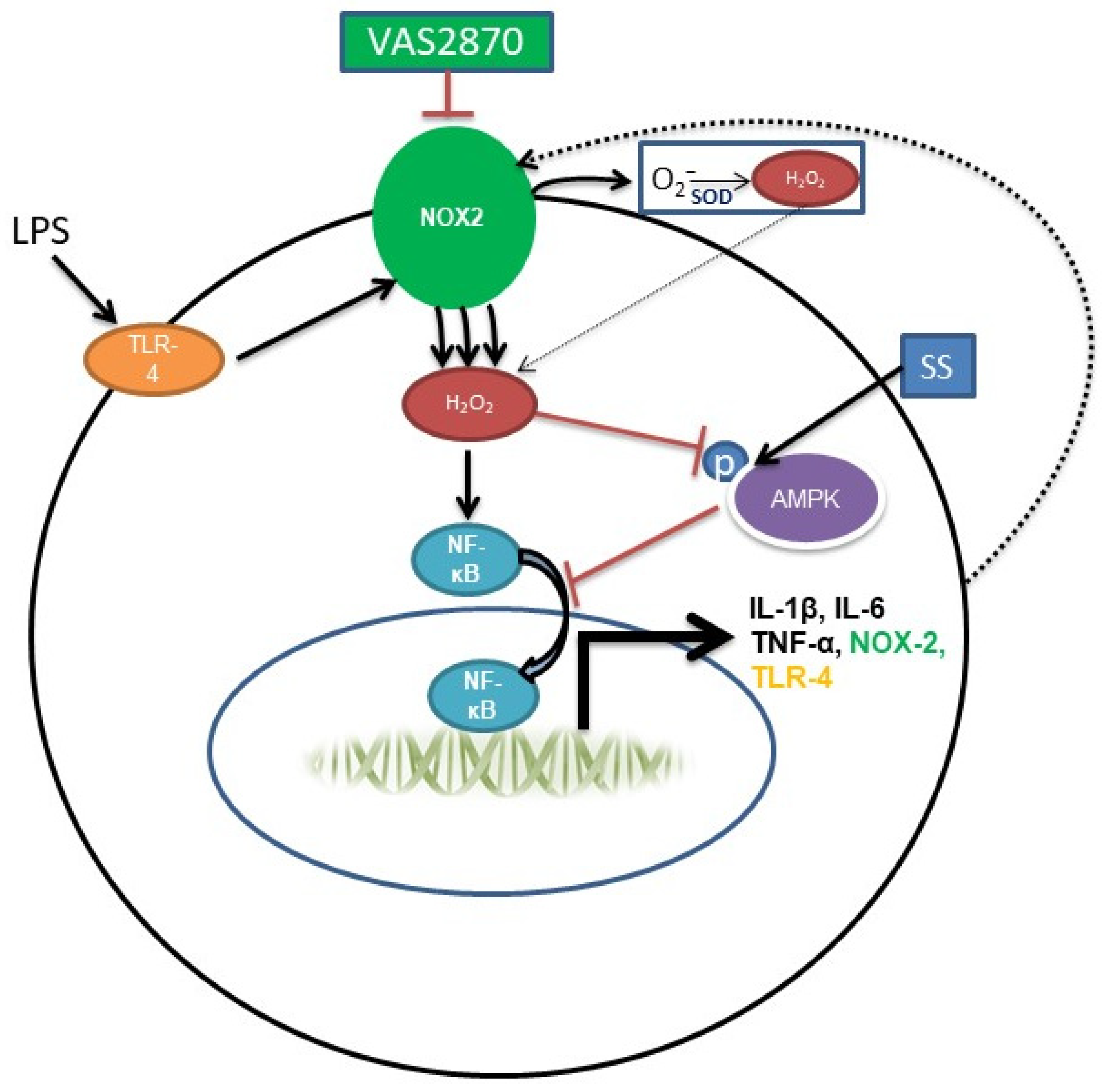 Biomedicines 11 01443 g005
