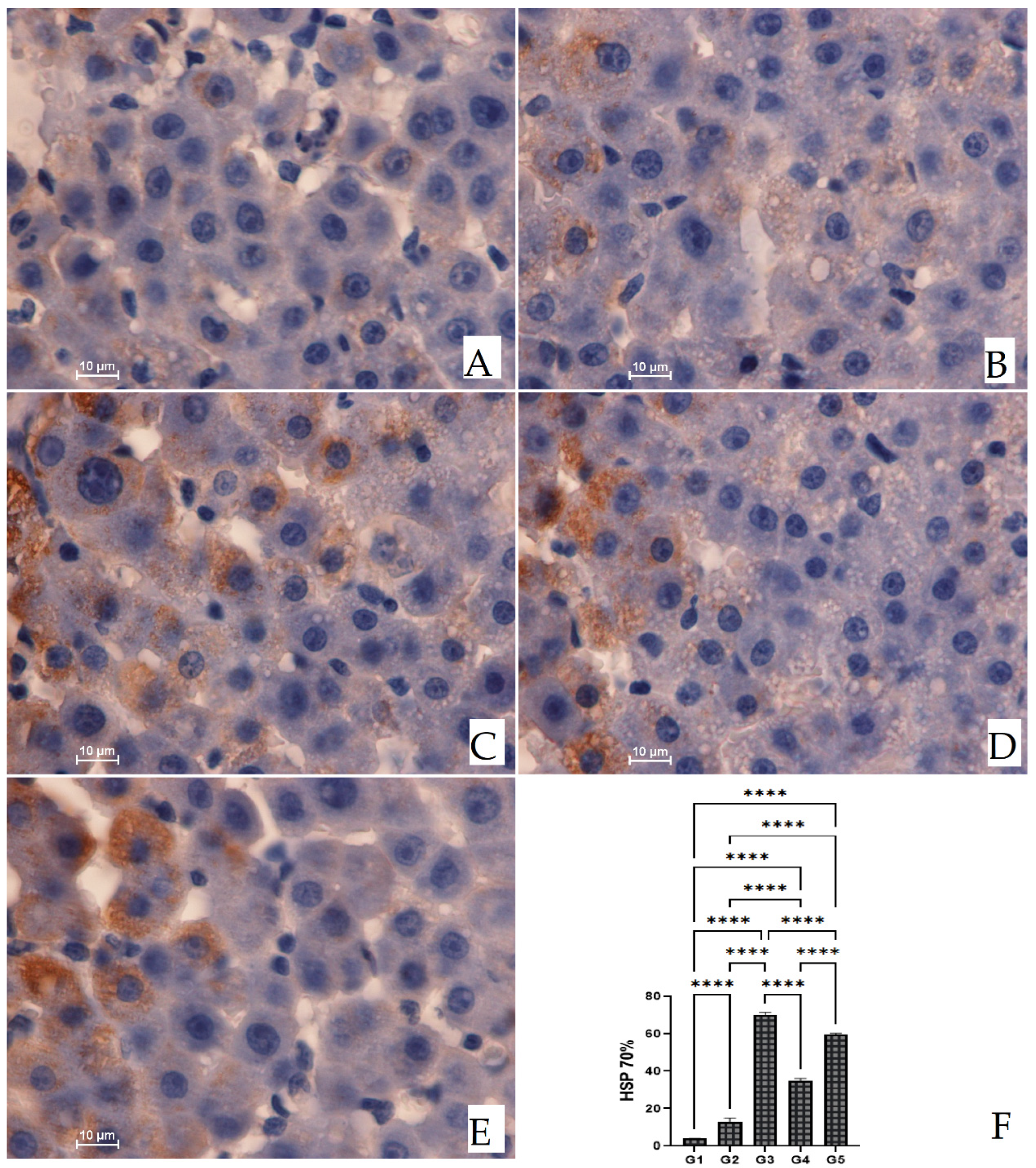 Biomedicines 11 01447 g004 Biomedicines 11 01447 g004
