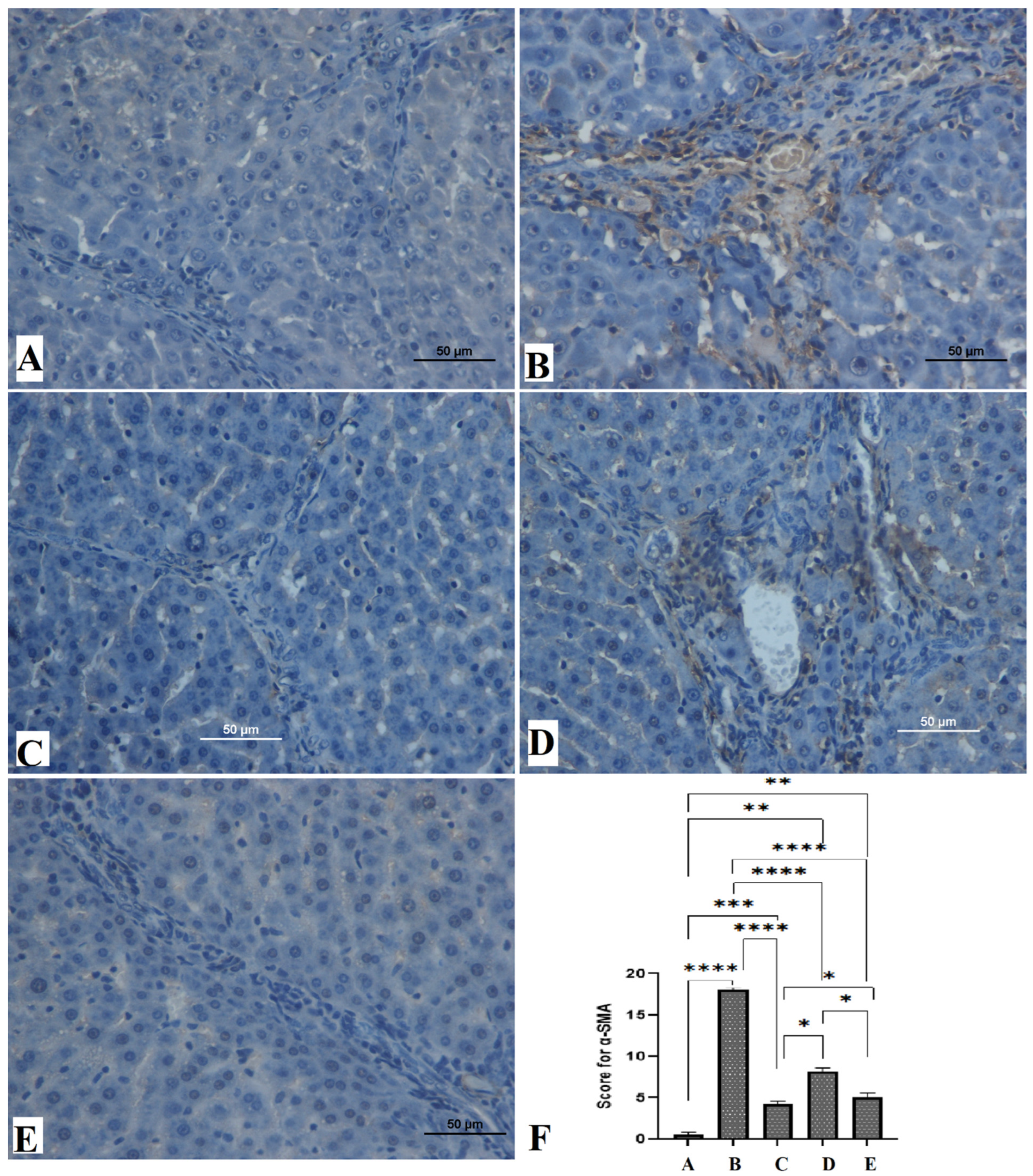 Biomedicines 11 01447 g005 Biomedicines 11 01447 g005