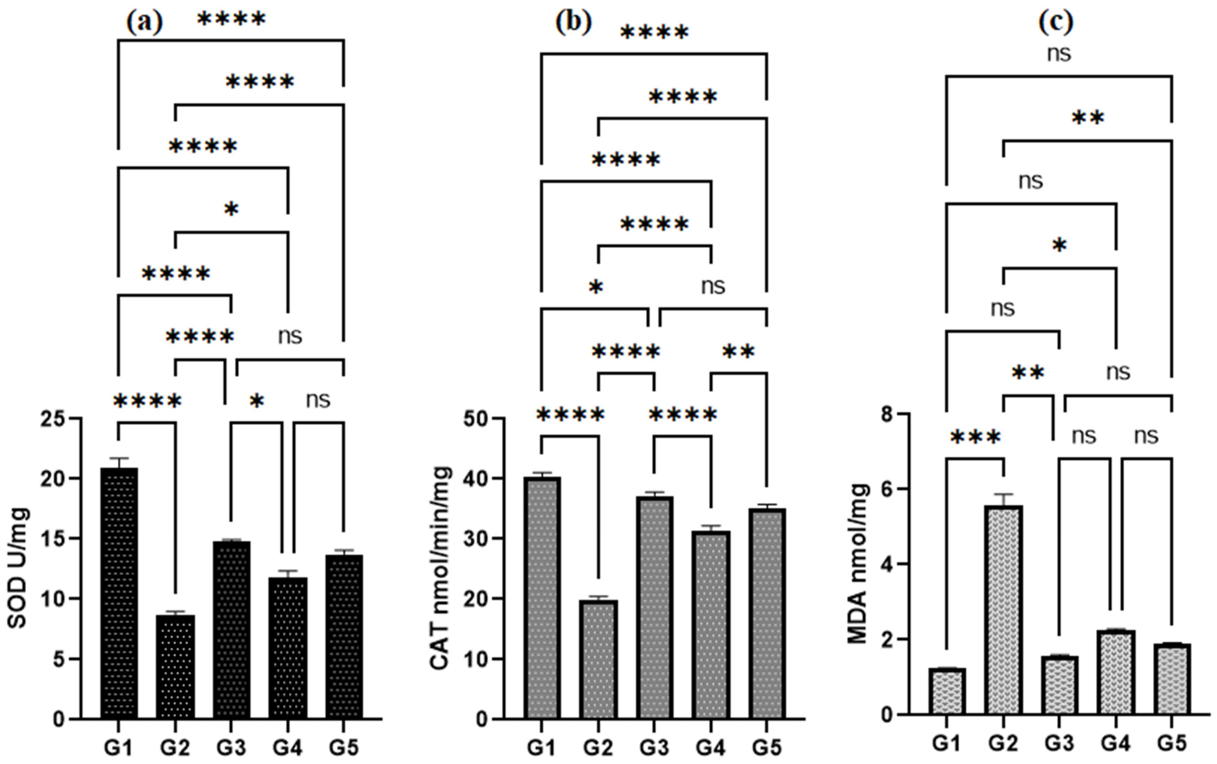 Biomedicines 11 01447 g006 Biomedicines 11 01447 g006