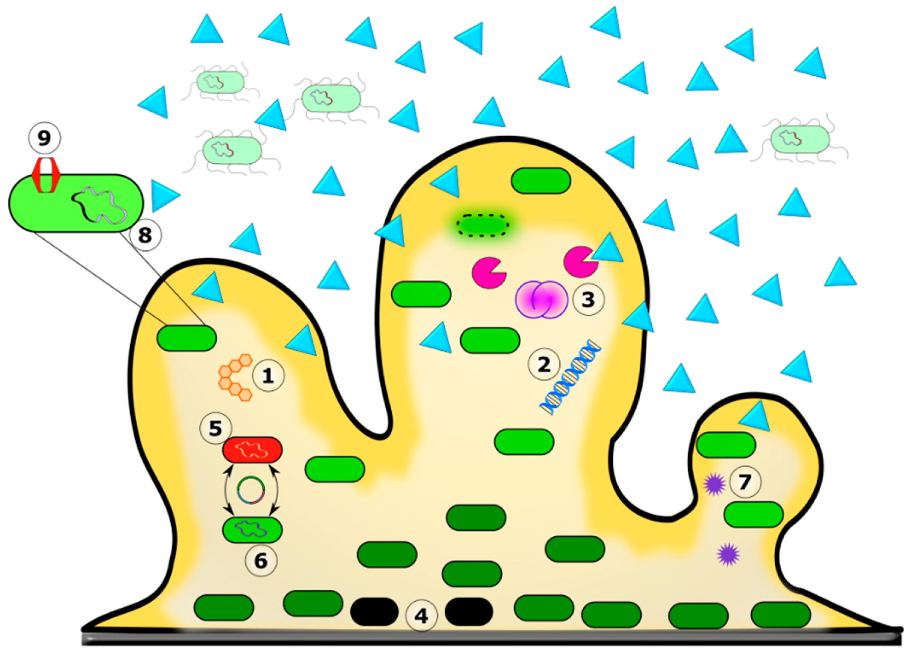 Biomedicines 11 01448 g003 Biomedicines 11 01448 g003