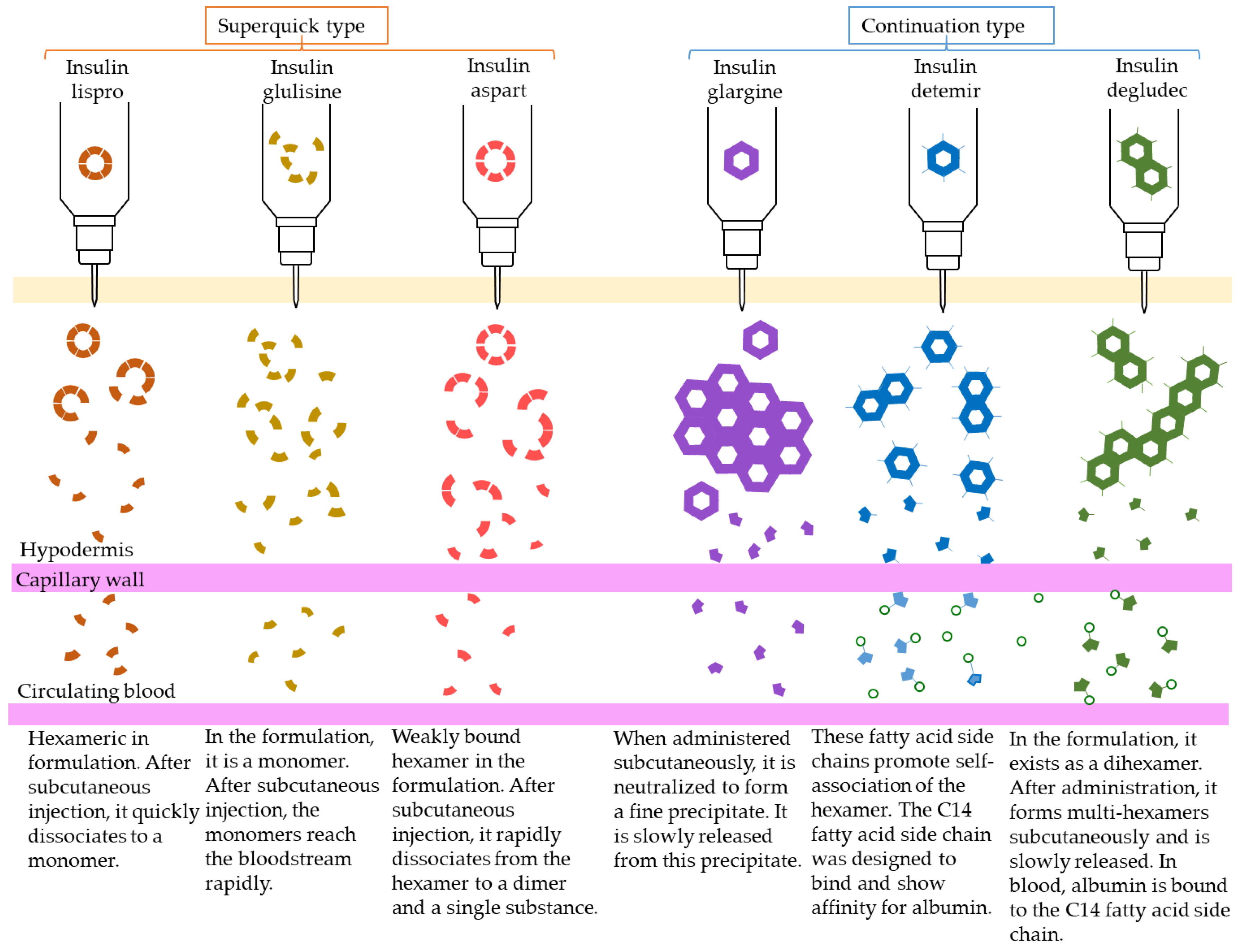 Biomedicines 11 01456 g005 Biomedicines 11 01456 g005