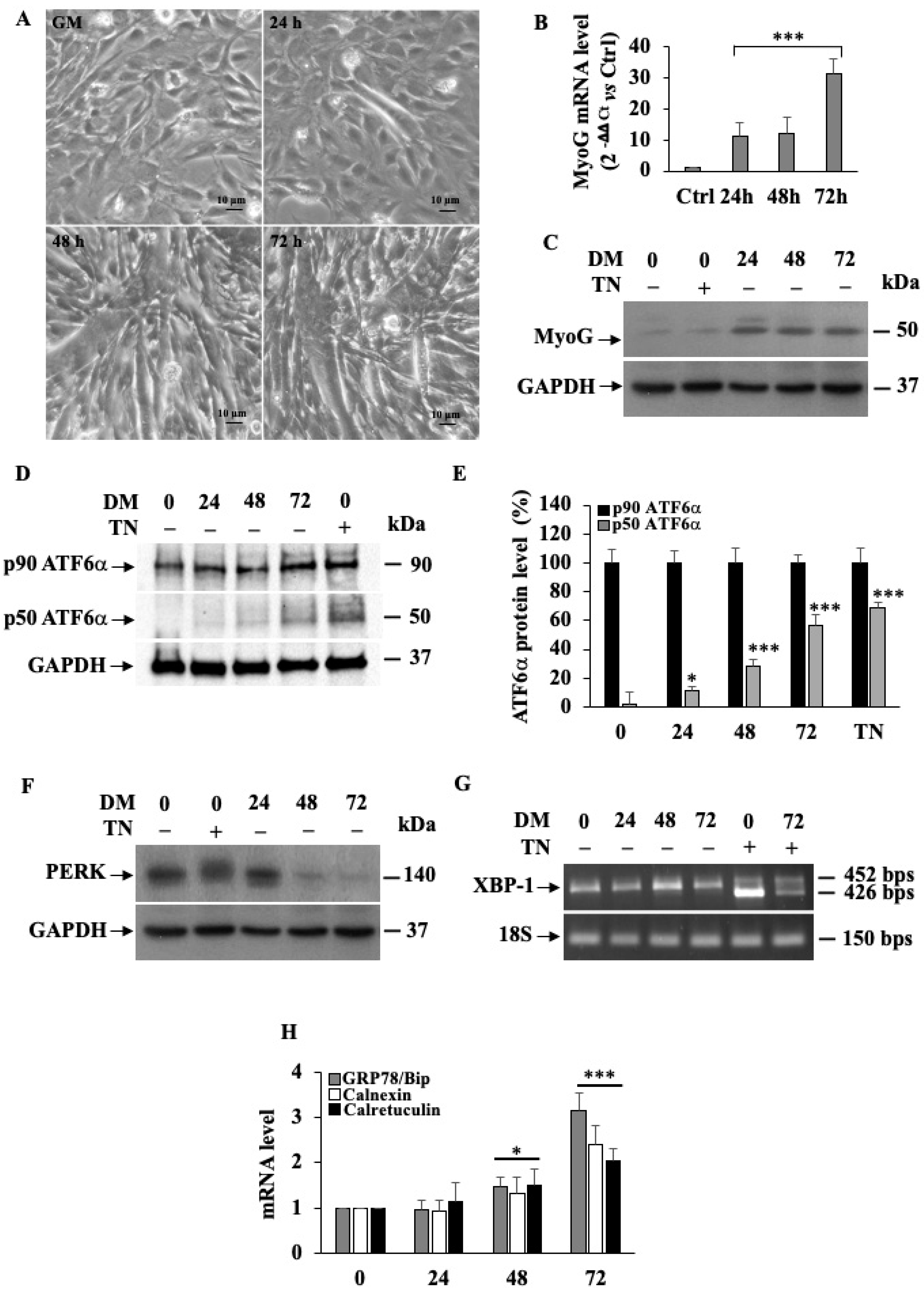 Biomedicines 11 01457 g001 Biomedicines 11 01457 g001