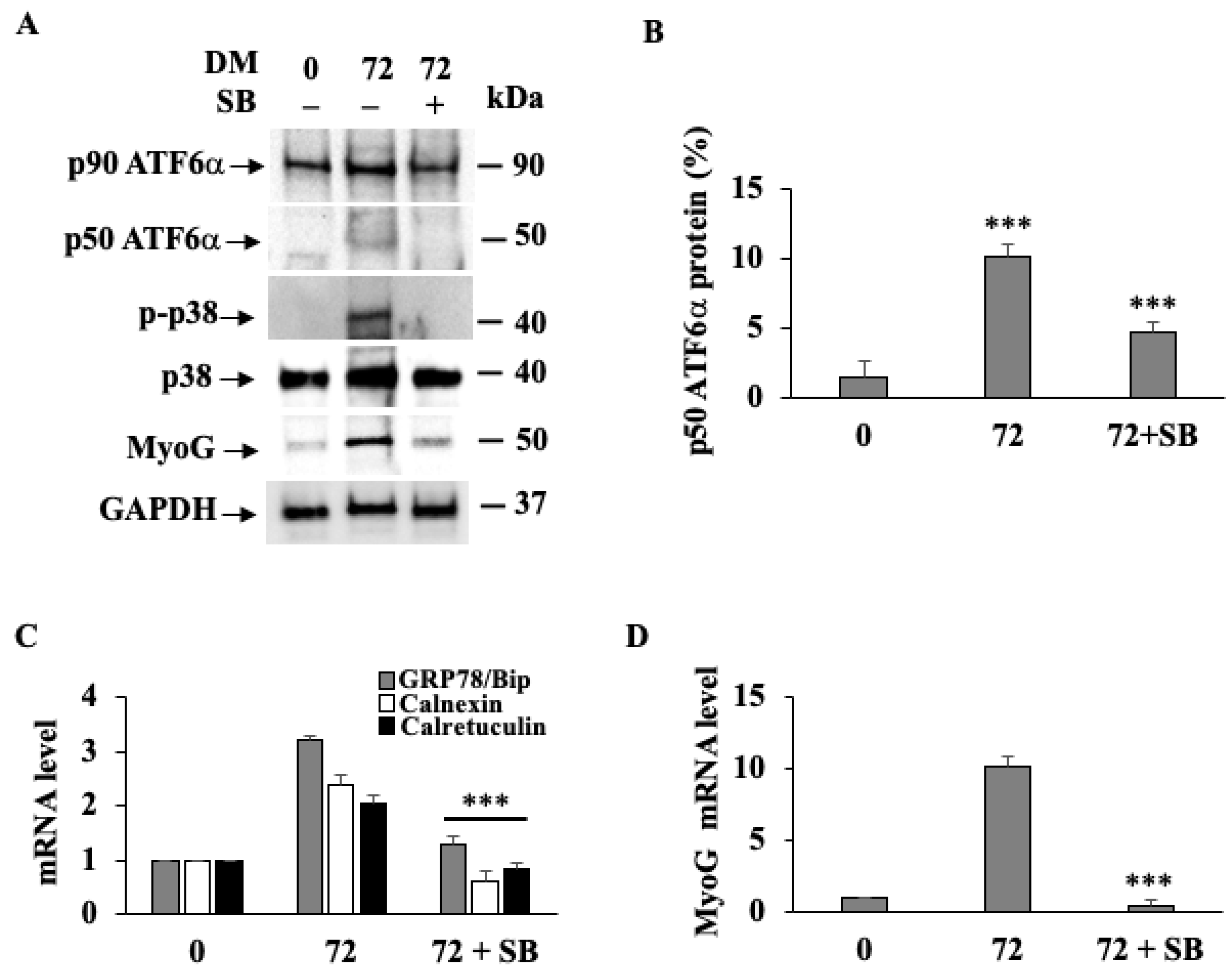 Biomedicines 11 01457 g002 Biomedicines 11 01457 g002