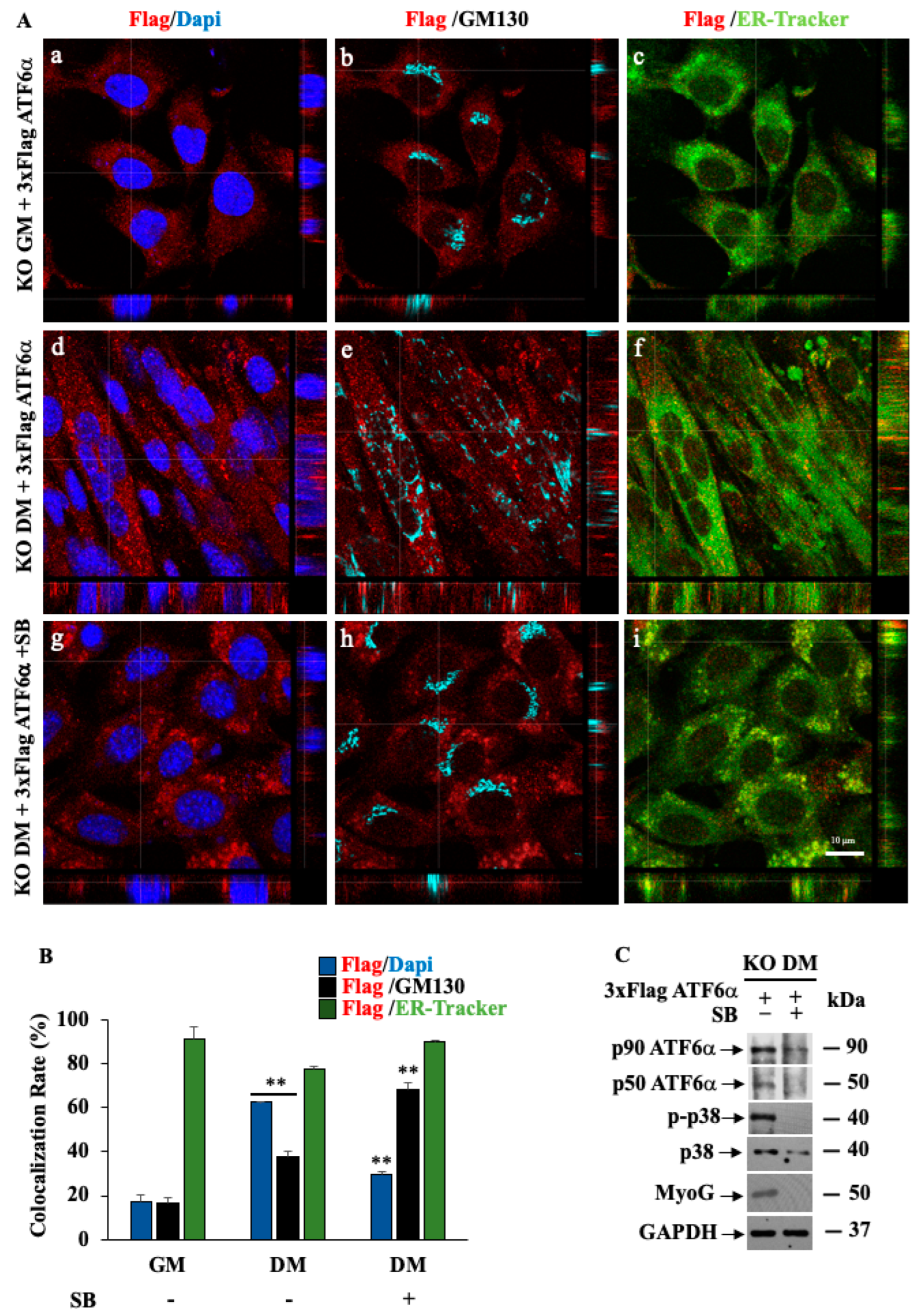 Biomedicines 11 01457 g005 Biomedicines 11 01457 g005