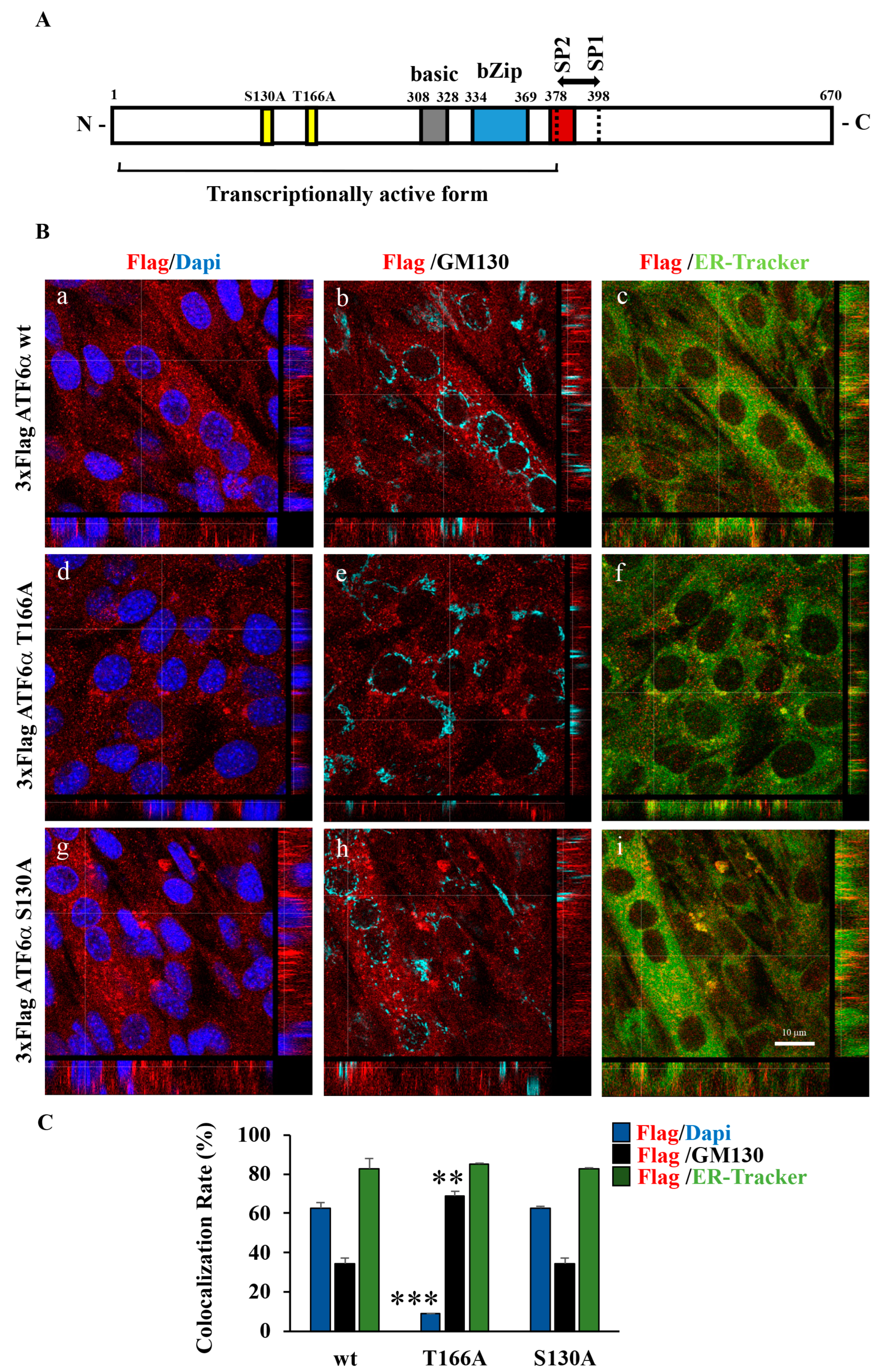 Biomedicines 11 01457 g006 Biomedicines 11 01457 g006