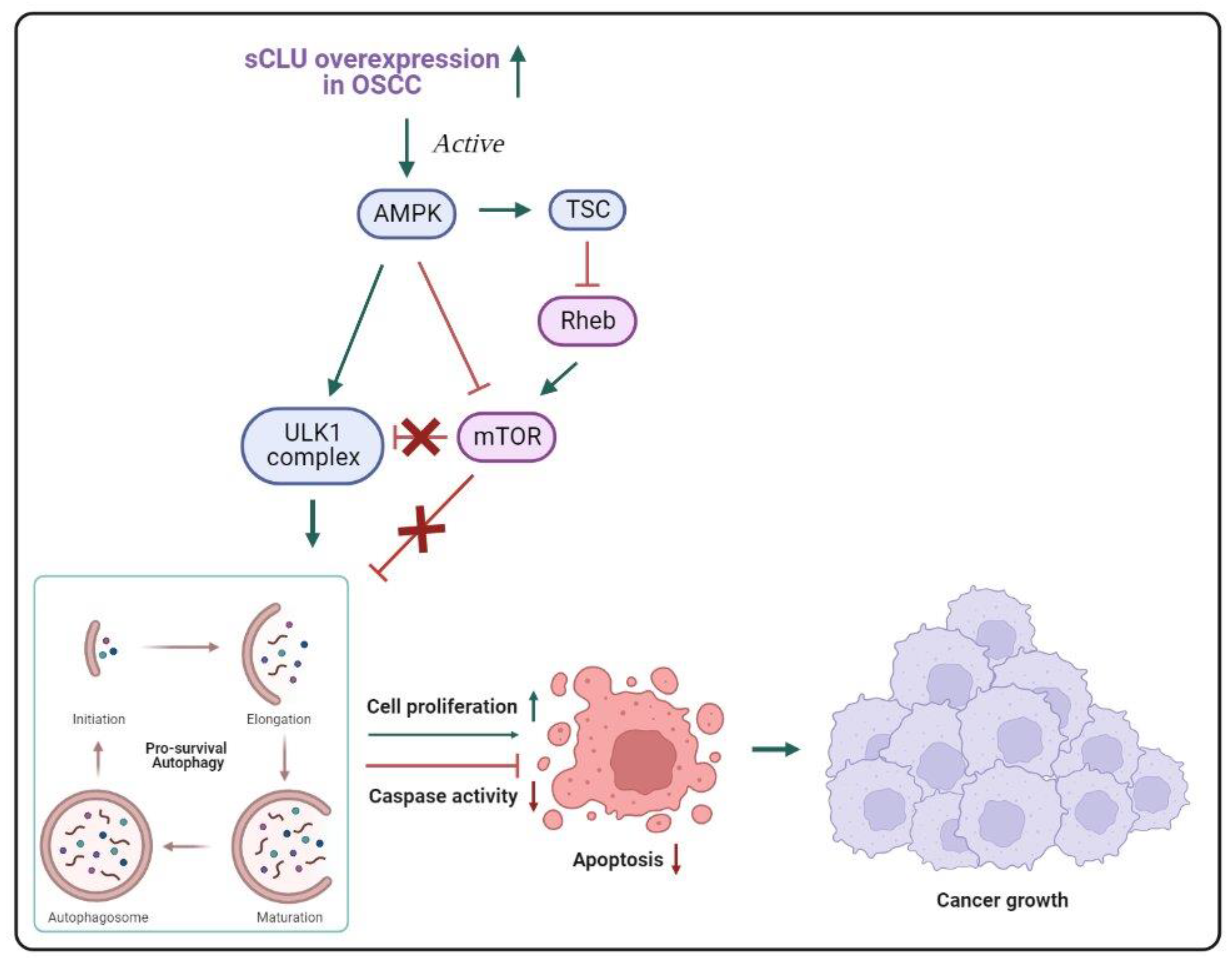 Biomedicines 11 01458 g002 Biomedicines 11 01458 g002