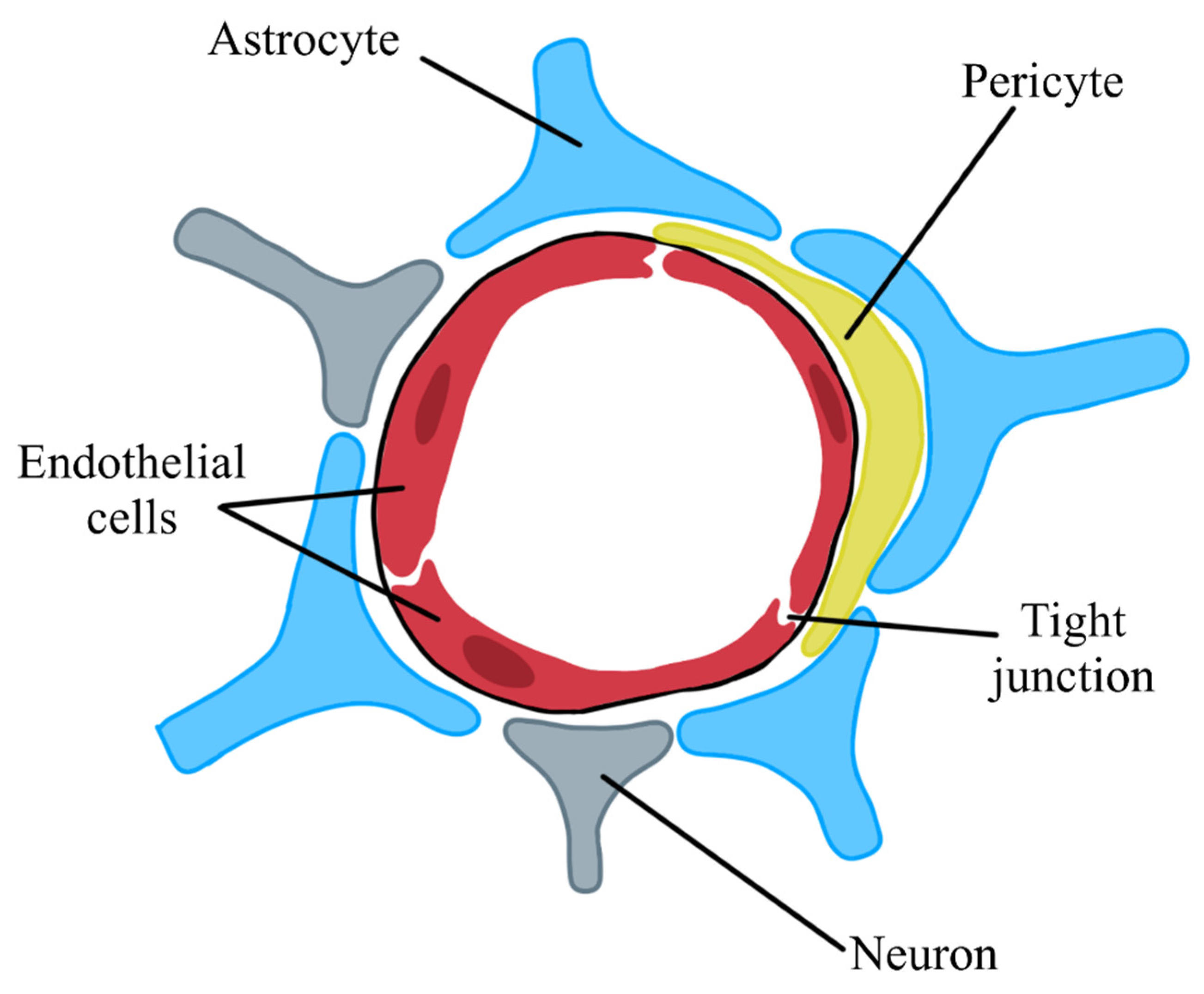 Biomedicines 11 01461 g004 Biomedicines 11 01461 g004