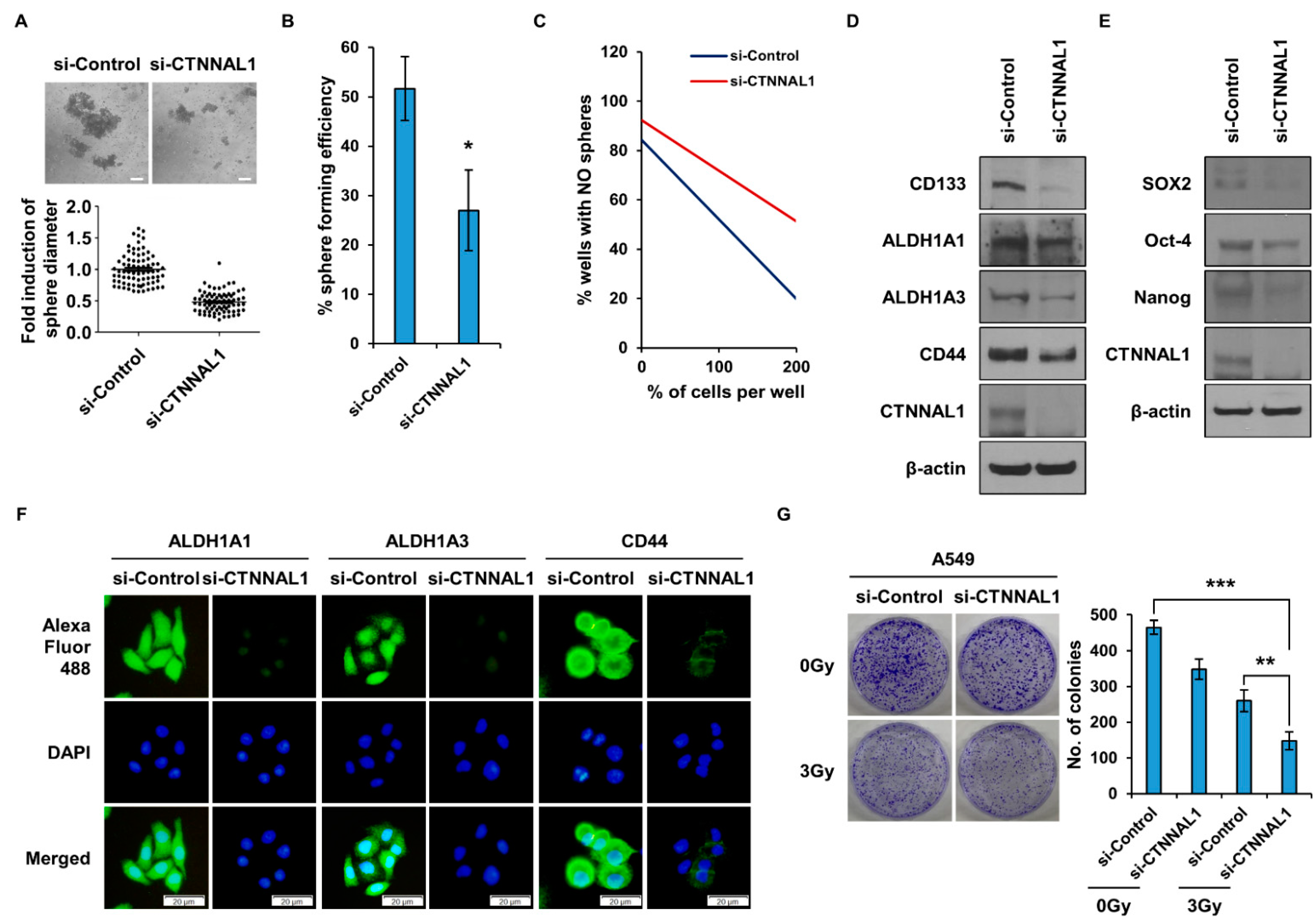 Biomedicines 11 01462 g002 Biomedicines 11 01462 g002