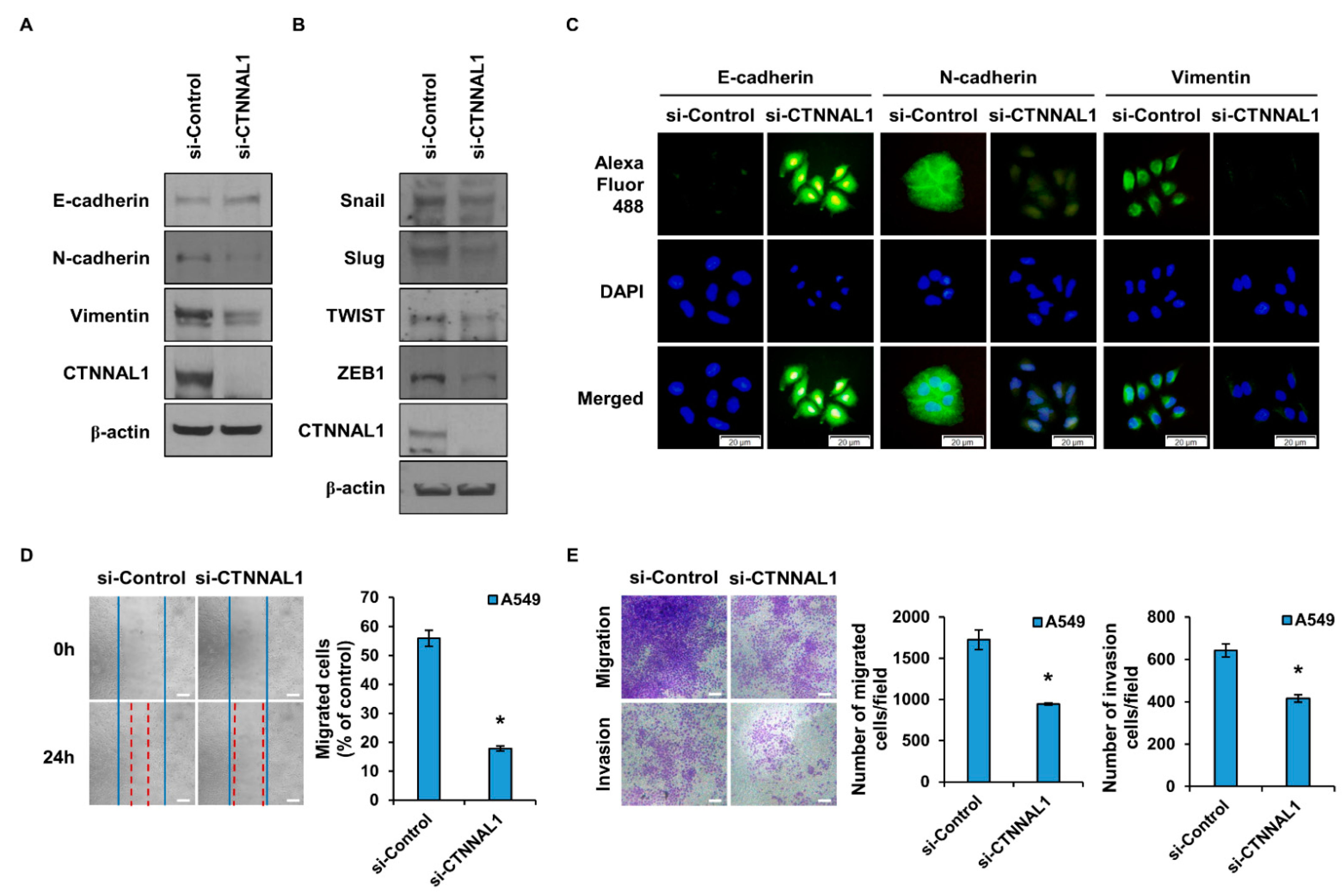 Biomedicines 11 01462 g003 Biomedicines 11 01462 g003