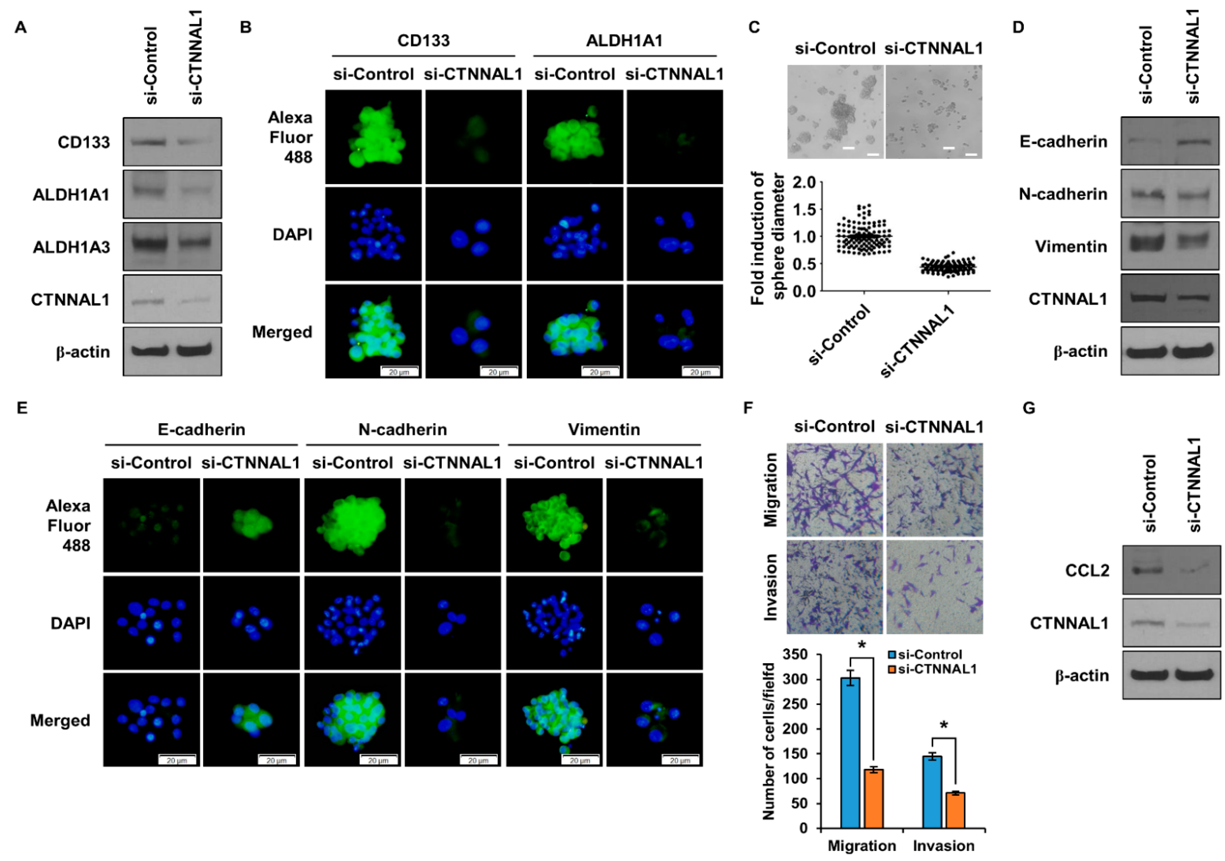 Biomedicines 11 01462 g005 Biomedicines 11 01462 g005