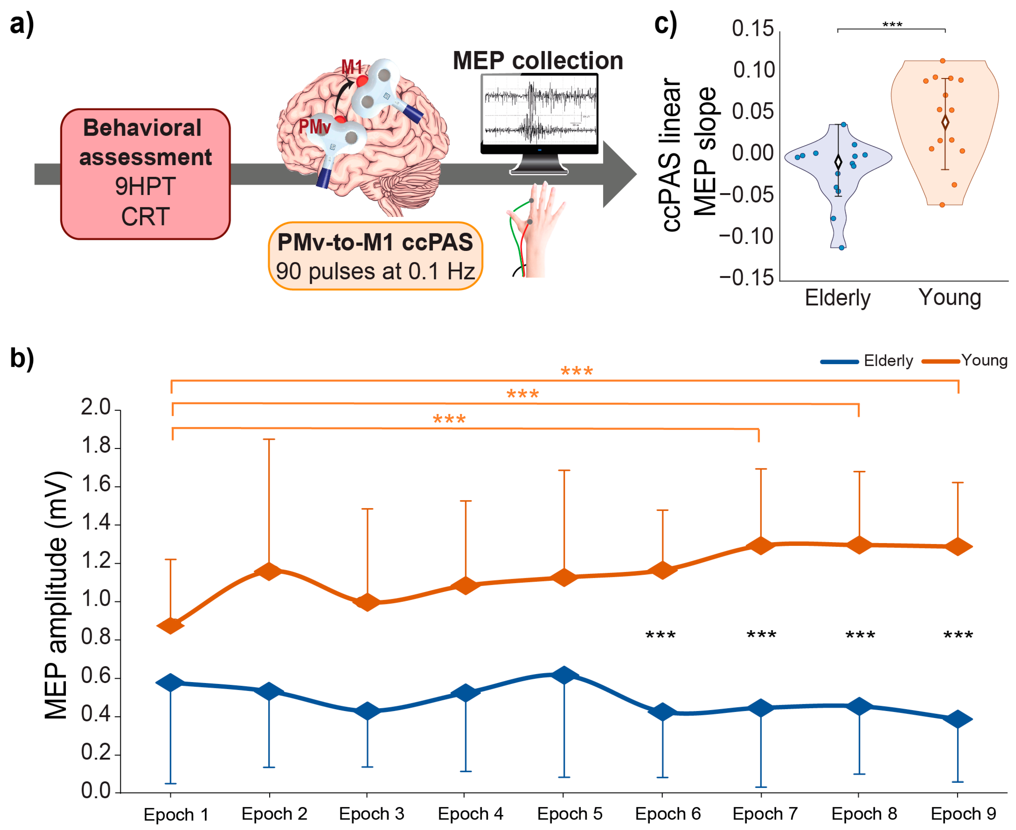 Biomedicines 11 01464 g001 Biomedicines 11 01464 g001