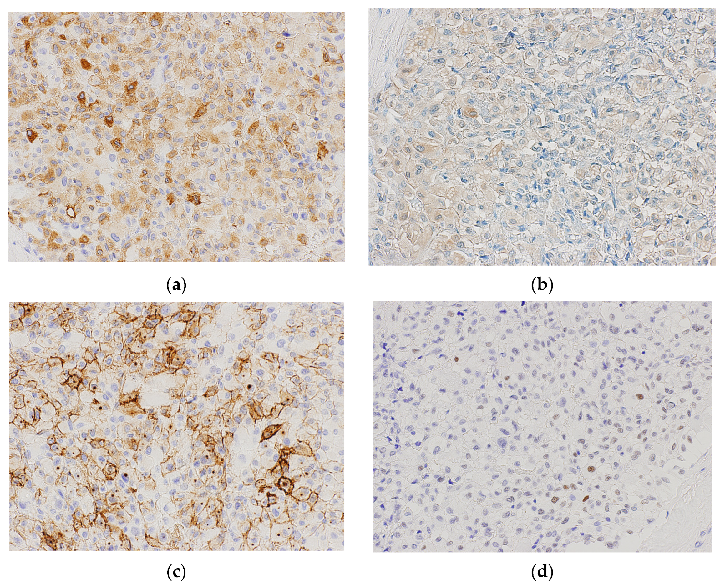 Biomedicines 11 01467 g002