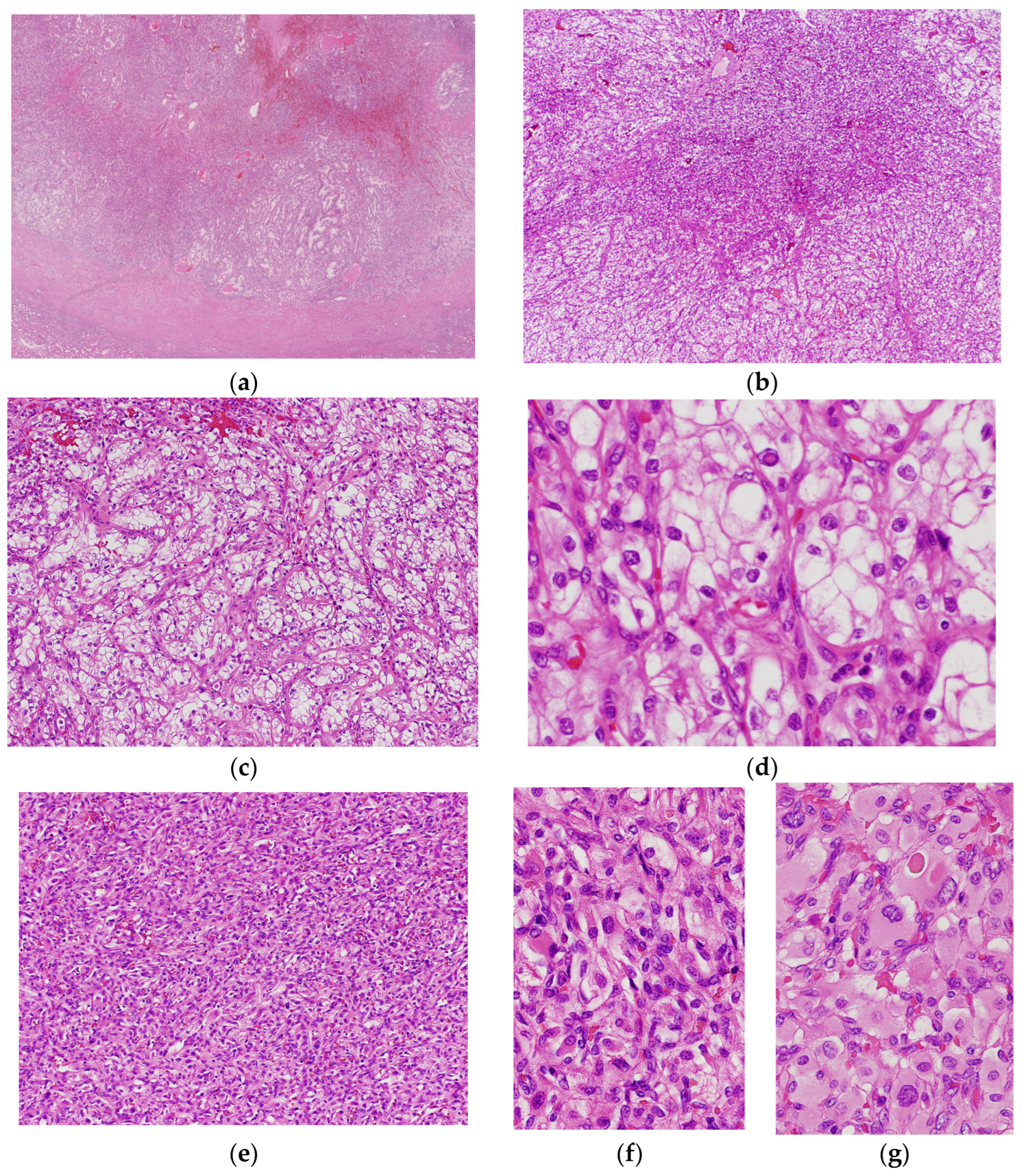 Biomedicines 11 01467 g003