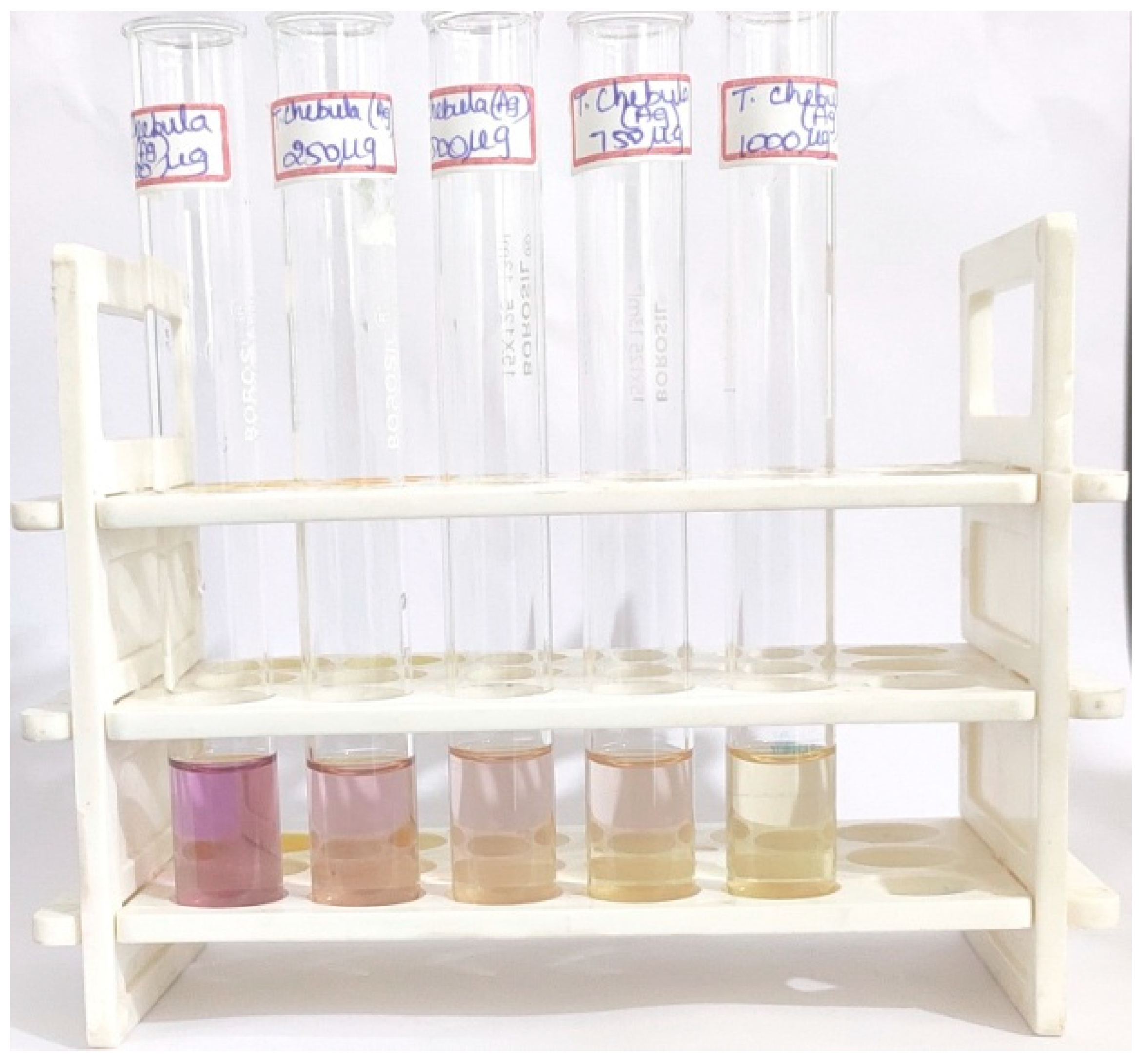 Biomedicines 11 01472 g005