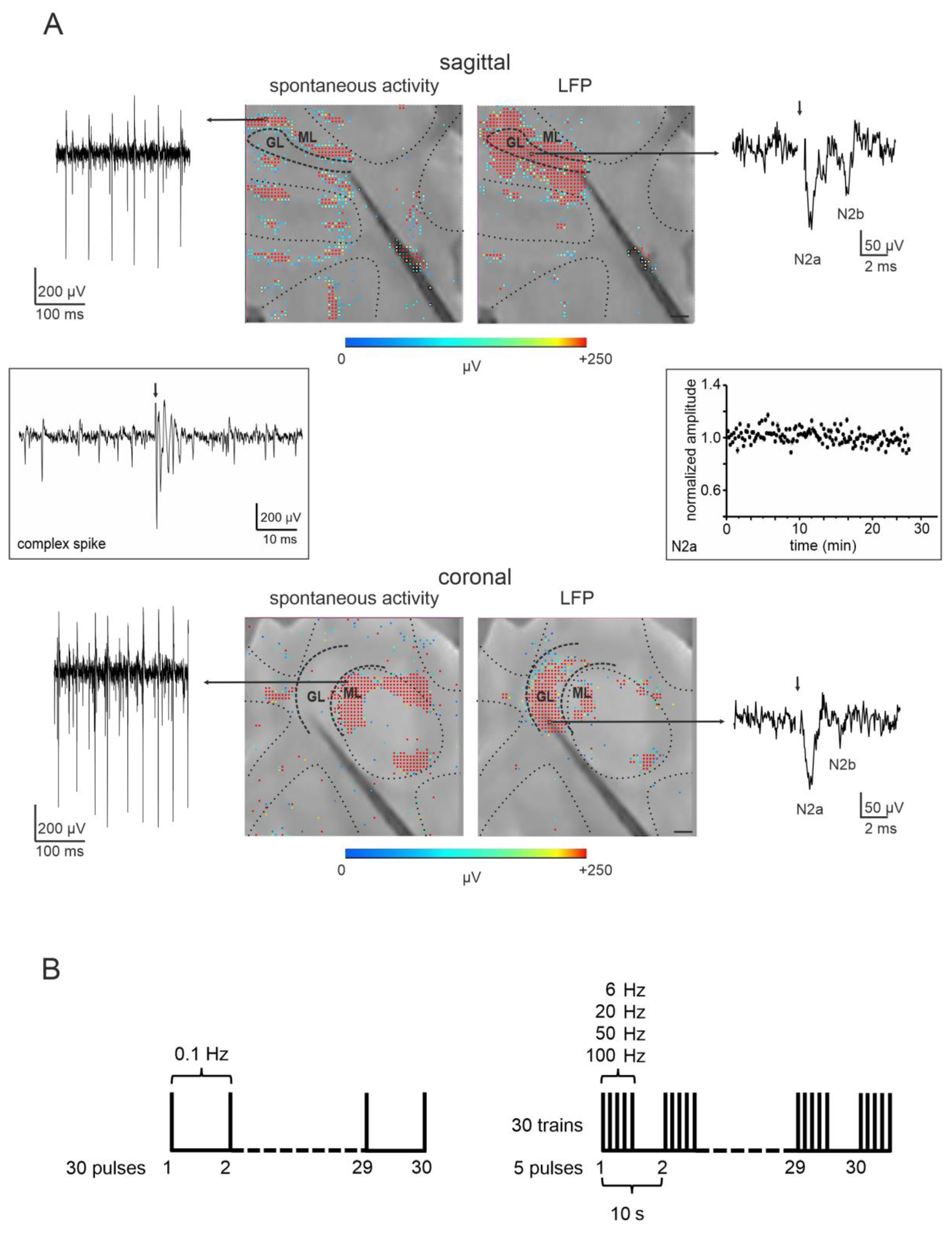 Biomedicines 11 01475 g002