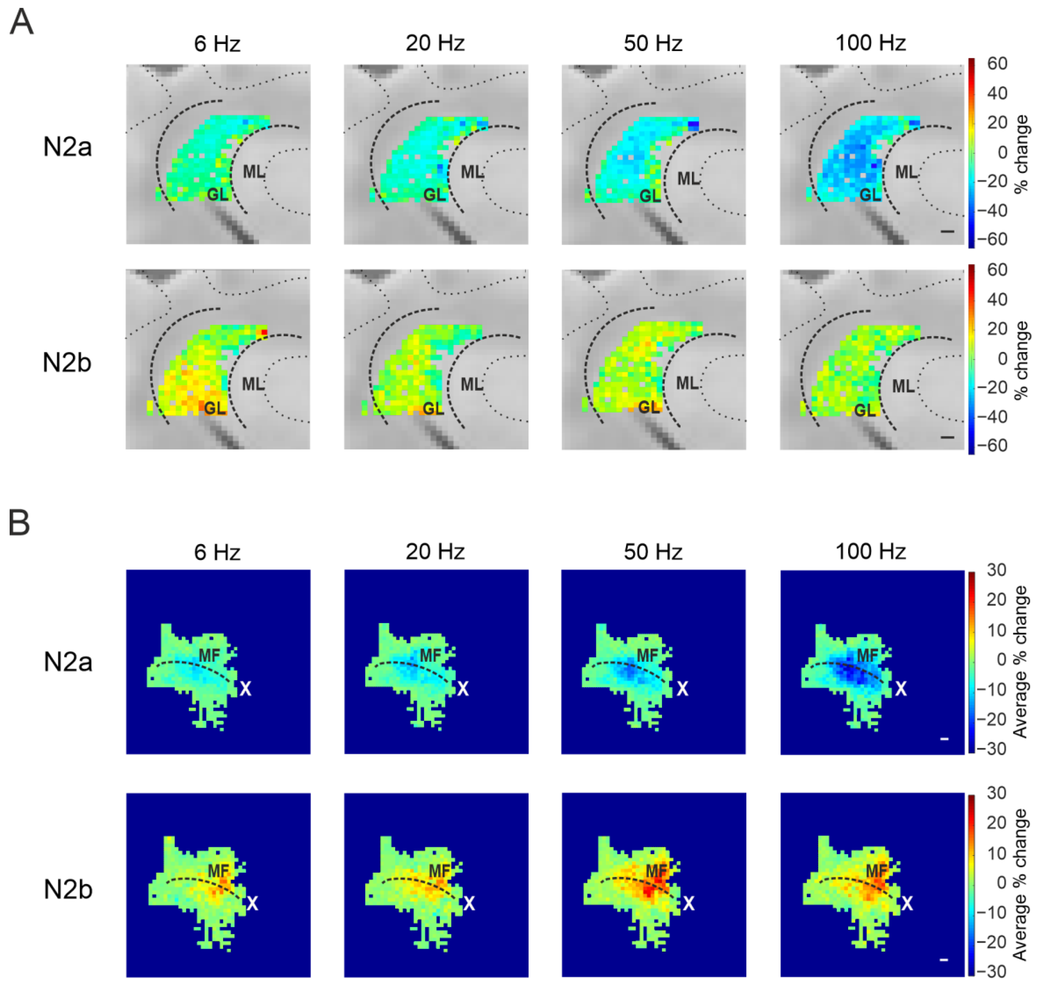 Biomedicines 11 01475 g008