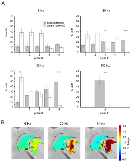 Anisotropy and Frequency Dependence of Signal Propagation in the