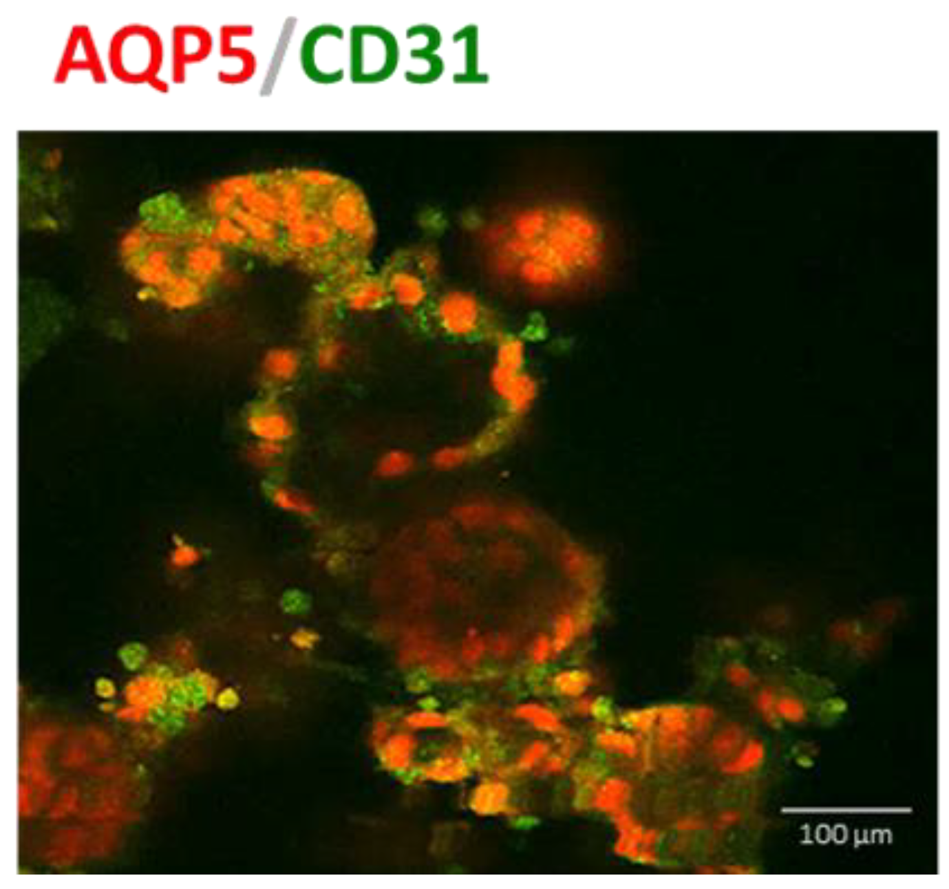 Biomedicines 11 01476 g0a3 Biomedicines 11 01476 g0a3