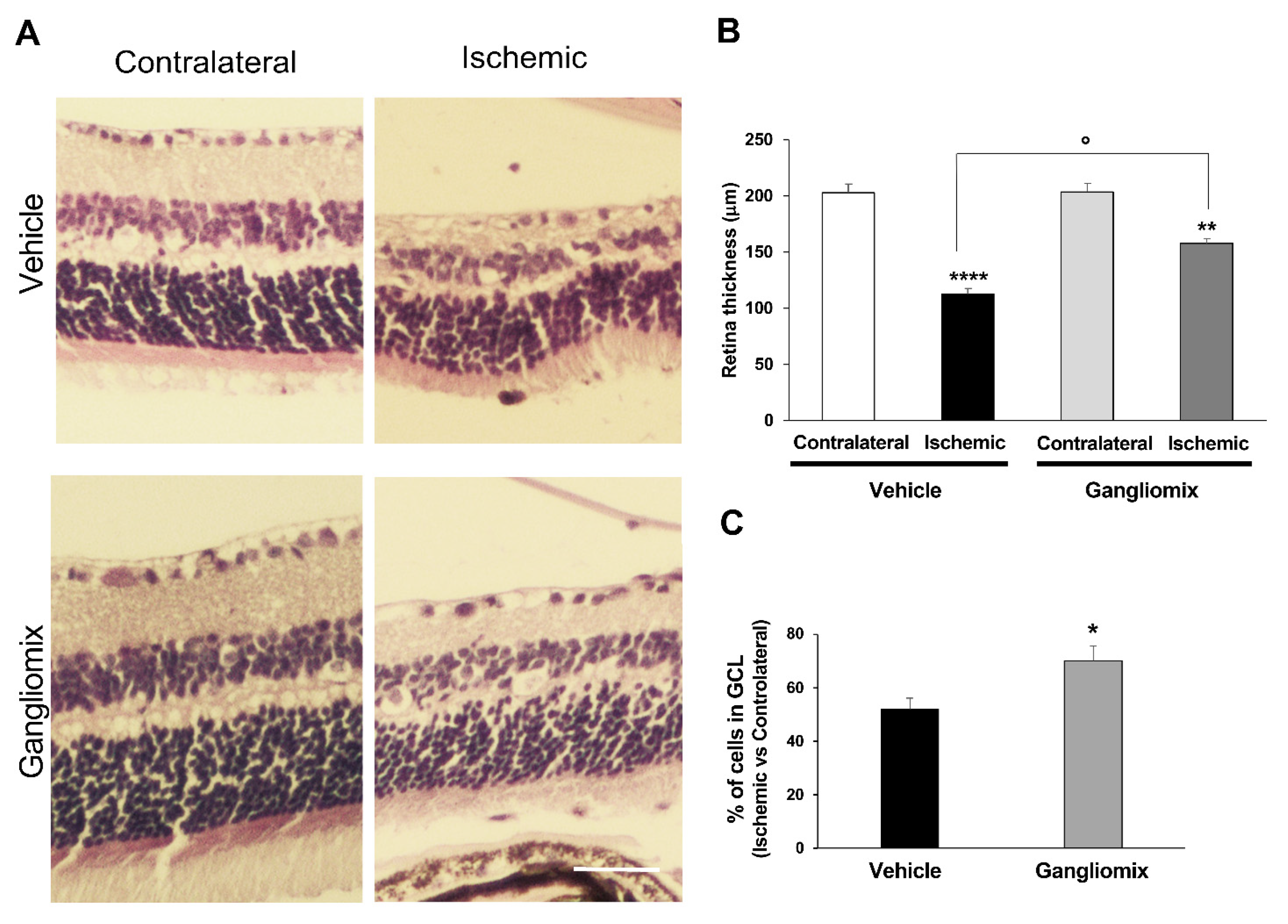 Biomedicines 11 01478 g001 Biomedicines 11 01478 g001