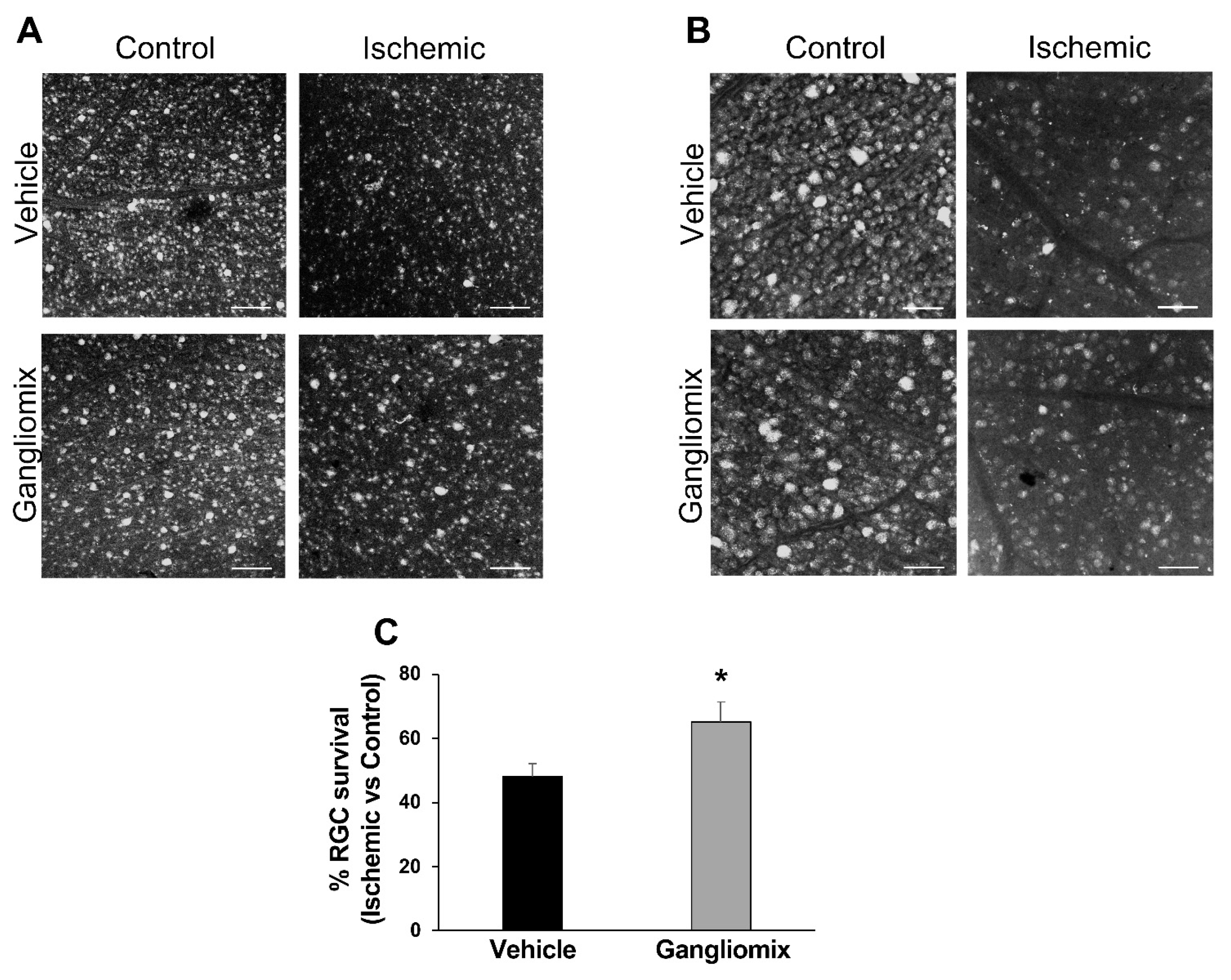 Biomedicines 11 01478 g002 Biomedicines 11 01478 g002