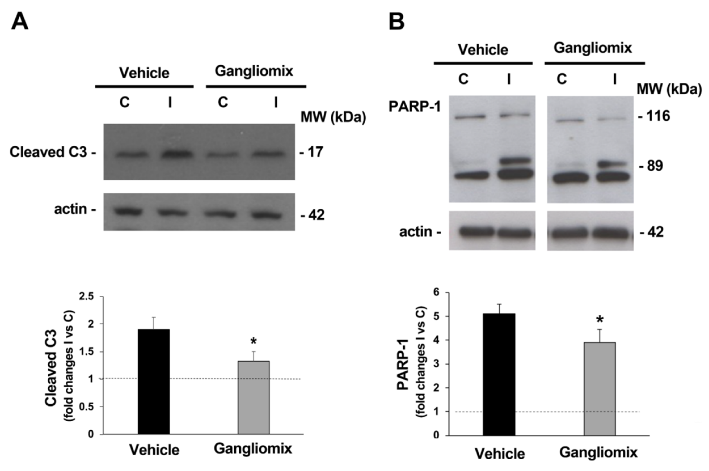 Biomedicines 11 01478 g006 Biomedicines 11 01478 g006