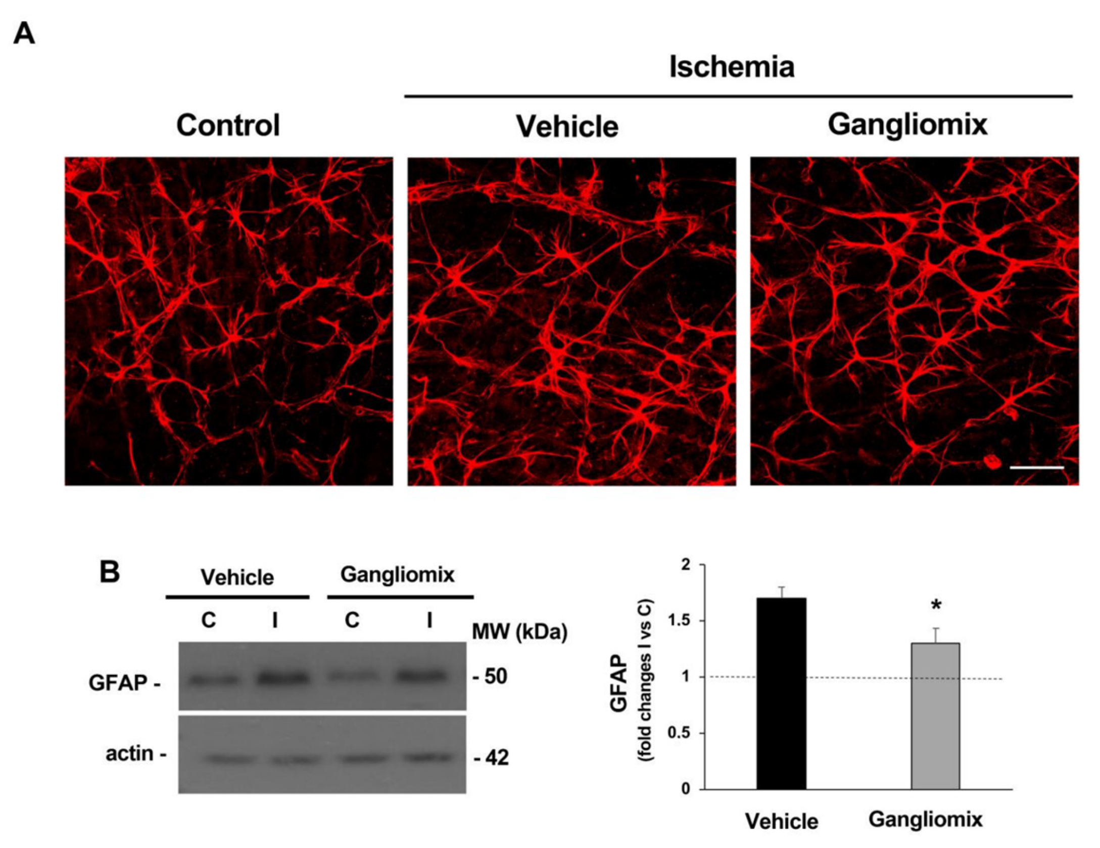 Biomedicines 11 01478 g007 Biomedicines 11 01478 g007