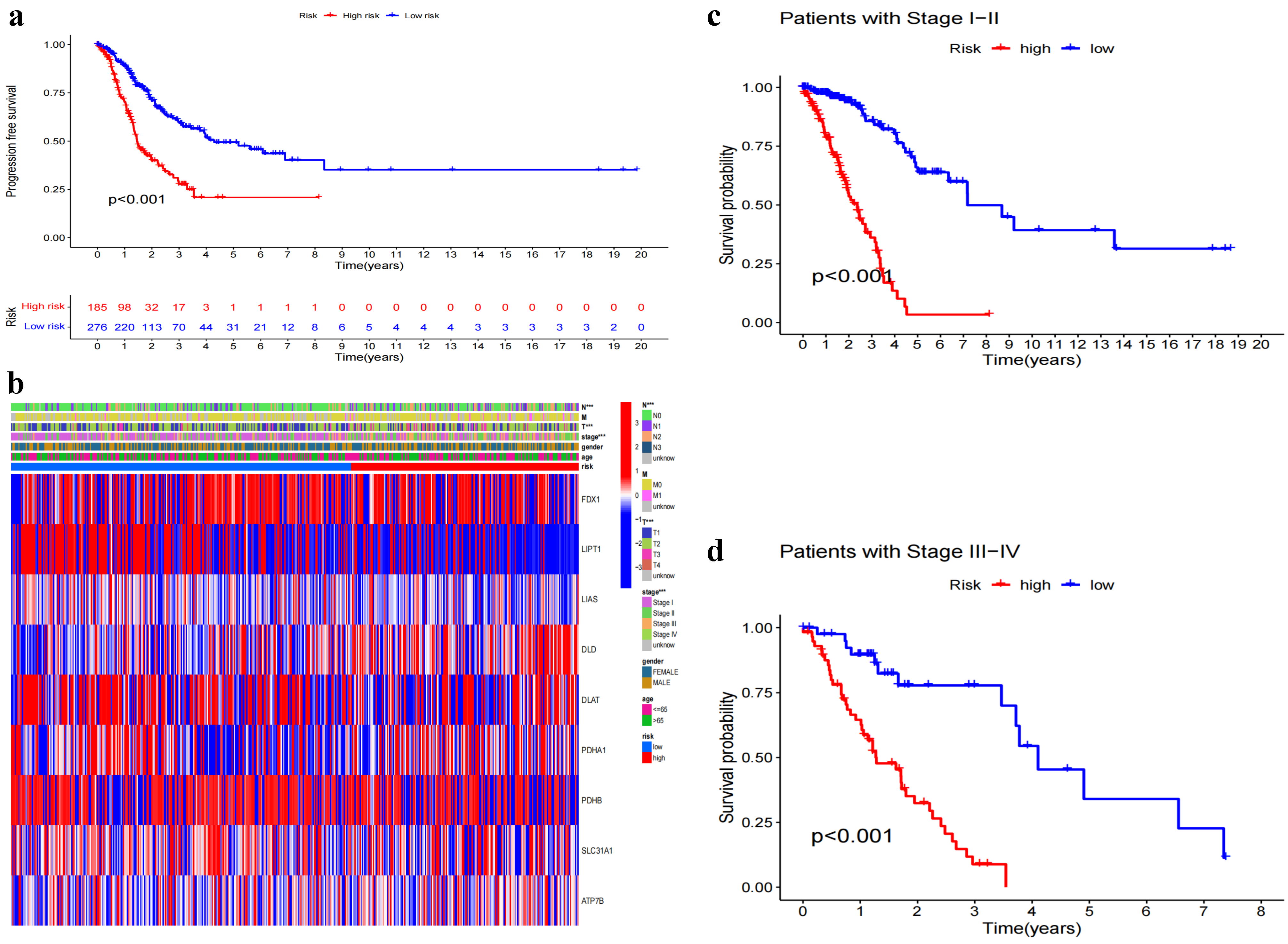 Biomedicines 11 01479 g005