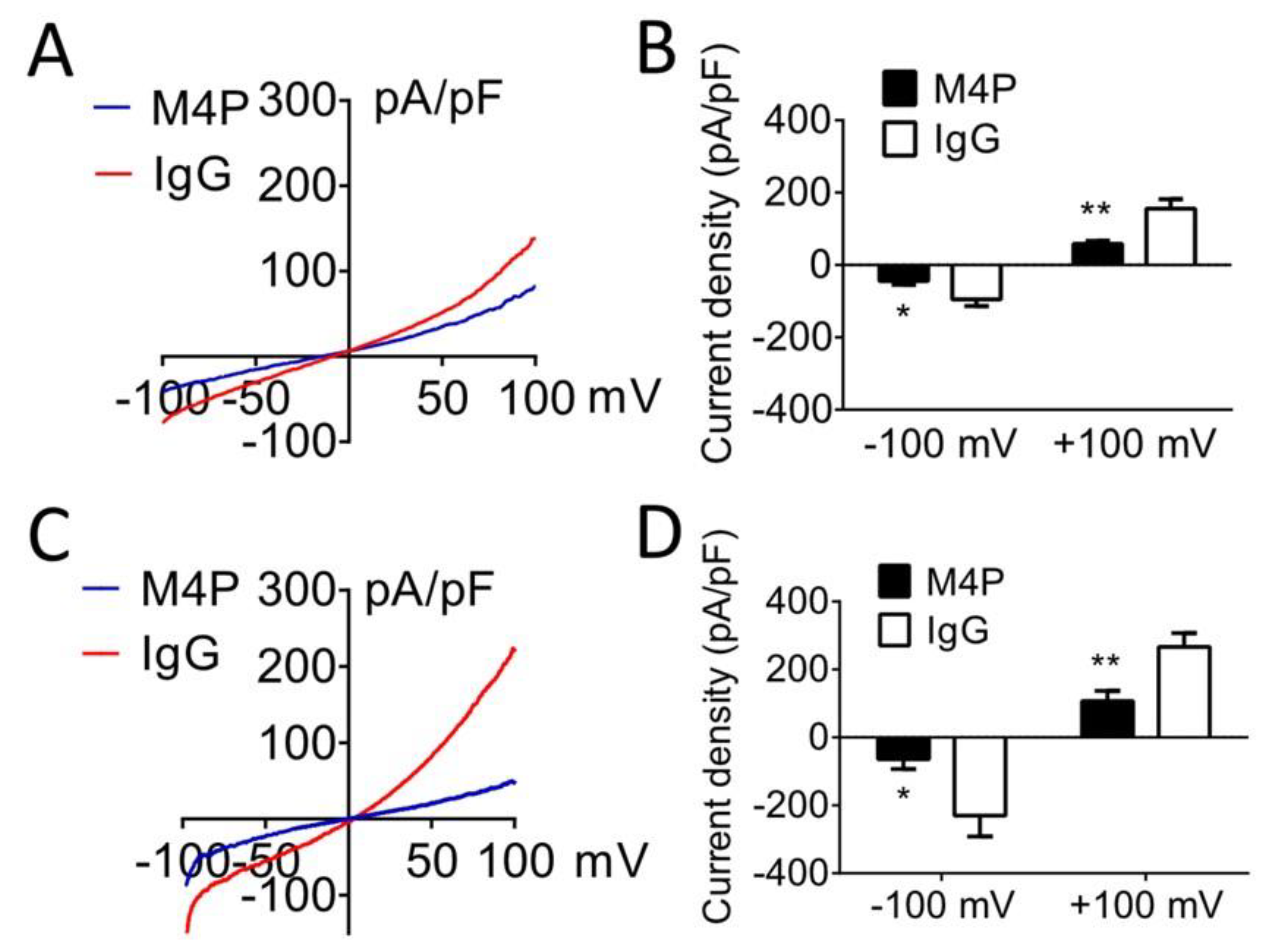 Biomedicines 11 01480 g002 Biomedicines 11 01480 g002