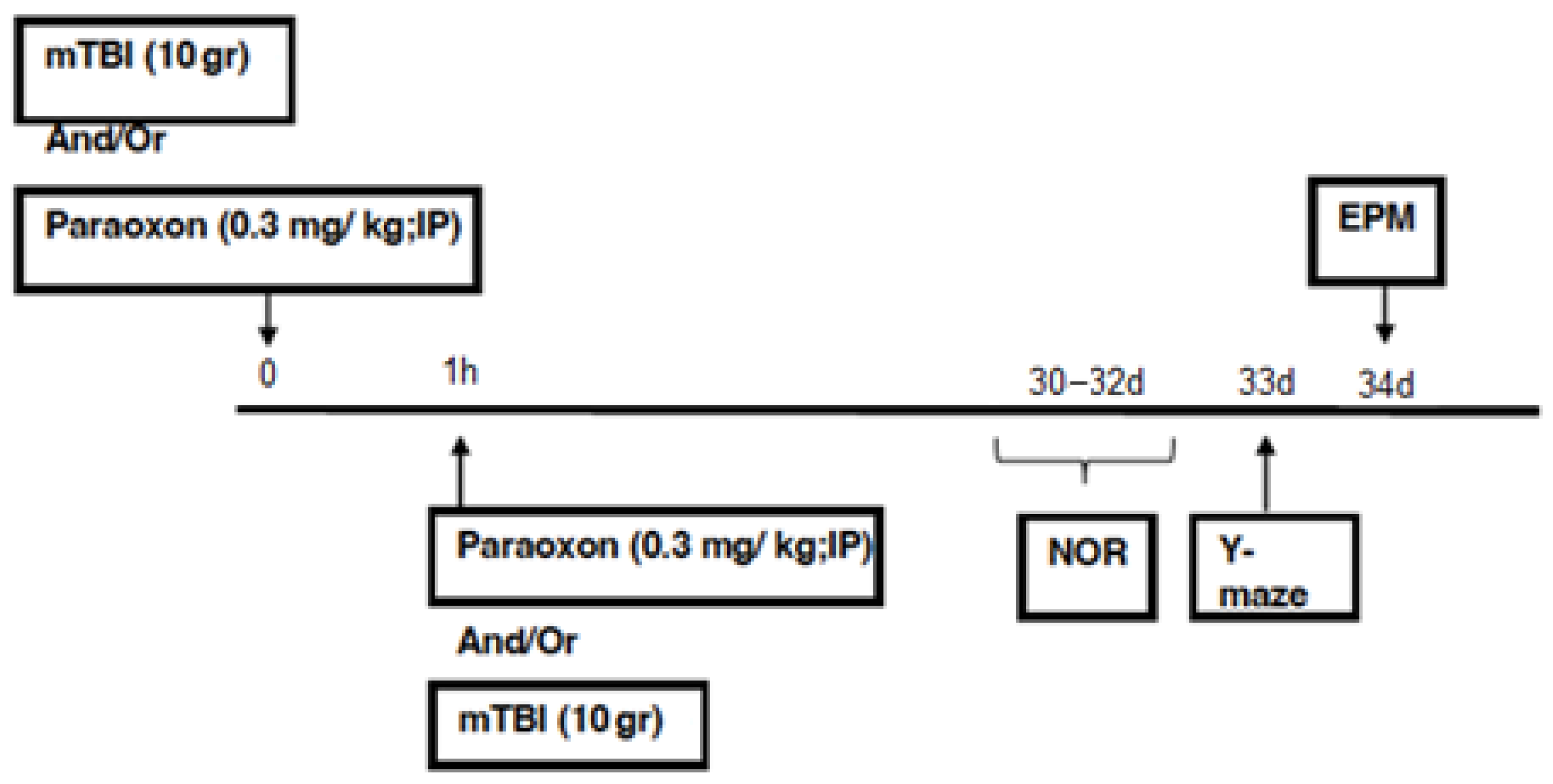 Biomedicines 11 01481 g001 Biomedicines 11 01481 g001