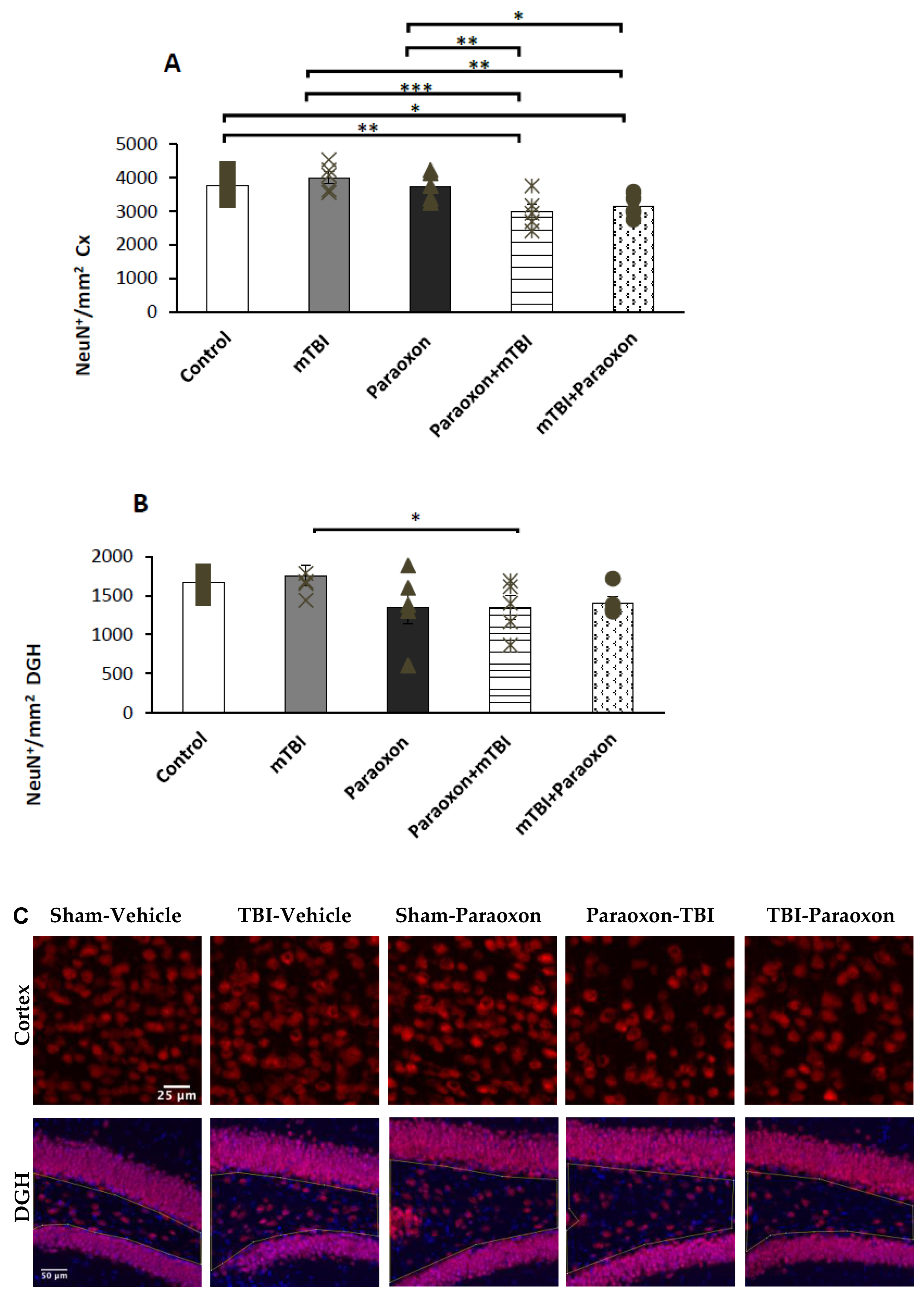 Biomedicines 11 01481 g003 Biomedicines 11 01481 g003