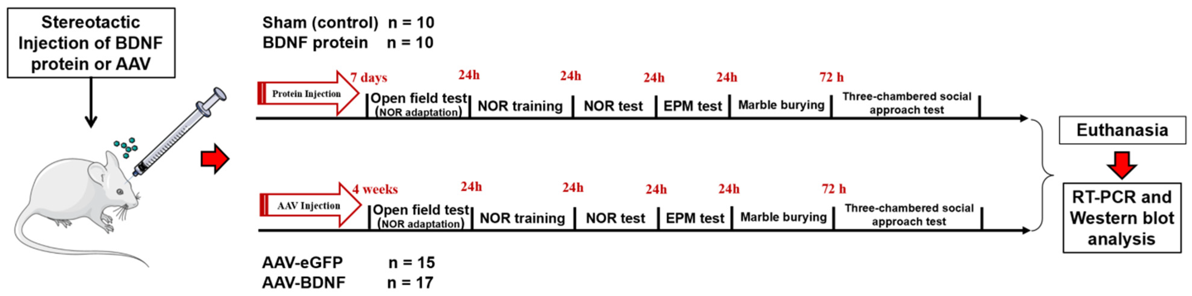 Biomedicines 11 01482 g001 Biomedicines 11 01482 g001