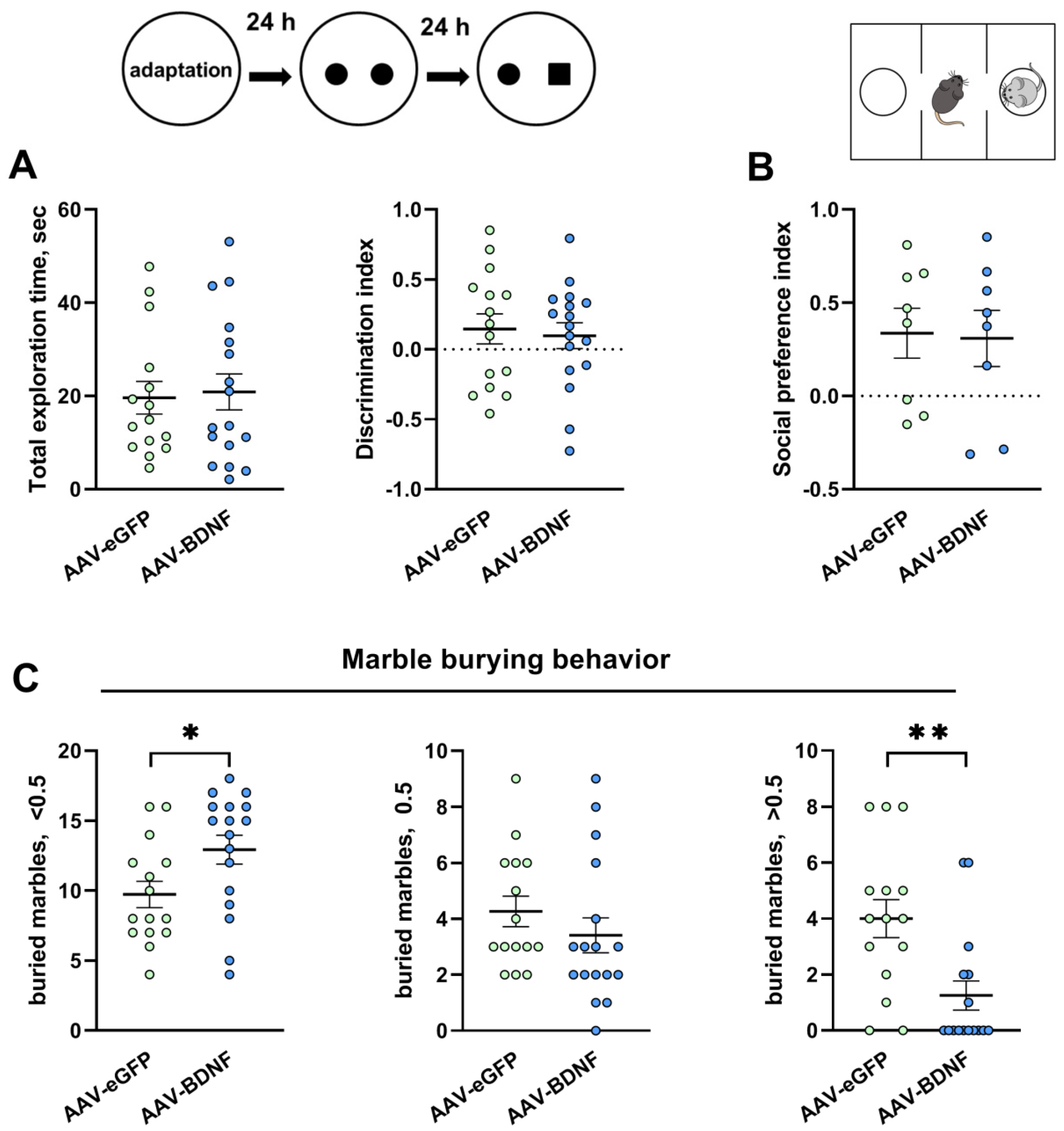 Biomedicines 11 01482 g008 Biomedicines 11 01482 g008